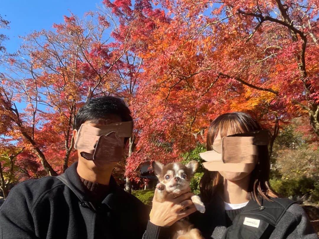 kotaro45さんのインスタグラム写真 - (kotaro45Instagram)「2023.11.27 (月)  昨日の紅葉狩り🍁  とにかく綺麗！ 初の紅葉狩りだったので 大興奮でした！ 私が…笑 また行こうねコタちゃん♡  #コタとおでかけ」11月27日 18時08分 - kotaro45
