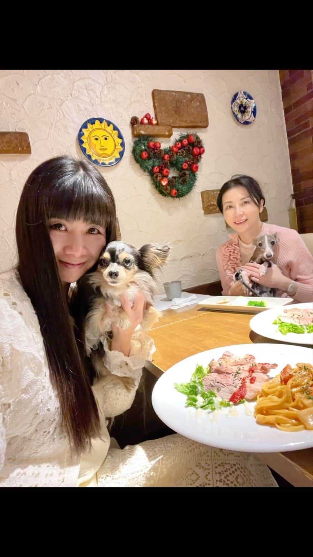 外村美姫のインスタグラム：「隠れた名店発見!!「室内わんこOK」ですって!!犬連れにも嬉しいね!!JR新橋駅烏森口から徒歩2分のビストロTOMOさんでランチ。 肉ビストロでありながら、「鎌倉野菜」や「逗子小坪産の鮮魚」も人気のお店。しかもお料理が美味しくて!!ここマジ推しです。  アンティーク店内は白が基調の落ち着いた空間。 わんこも同席で一緒に美味しい物が食べられる素敵なお店でした。ご接客もあたたかく、犬が好きでいらっしゃるあたたかさも感動的。パスタや岩中豚のお料理も人に嬉しく、わんこもチキンにお野菜に目を輝かせて食べていました。  ティファニーさん、お誕生日月間で一緒にお出かけしたかったので嬉しかった。お米は初めて食べたのですが、すごく美味しそうに食べてました。新橋ならココ!!是非行ってみてね。駅チカの美味しいお店です。 *臨時休業の場合もあるので、予約利用がお勧めです*  ビストロ TOMO 070-4163-0798　 港区新橋4-19-10 タカソビル B1F 月～金　13:00～23:00  PR @bistro_tomo #ビストロTOMO #東京都グルメ #東京ビストロ #港区ビストロ #新橋駅グルメ #新橋ビストロ #外村美姫 #チワックスティファニー #ティファニーと朝食を #誕生日会 #誕生日 #わんこ #7歳 #犬 #犬のいる暮らし #犬バカ部 #チワックス #チワックス倶楽部 #チワックス部 #チワックスタグラム #ドッグカフェ #チワックス党 #HAPPYBIRTHDAY #オッドアイ #わんこのいる生活 #カフェ #カフェ巡り #カフェランチ #わんことお出かけ #親子コーデ」