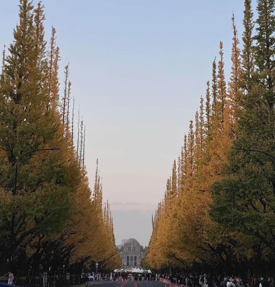 高島礼子さんのインスタグラム写真 - (高島礼子Instagram)「紅葉🍁の中の散歩 美しい色に癒されます 間に合って良かった🍂  #紅葉🍁 #散歩」11月27日 18時18分 - reico.official