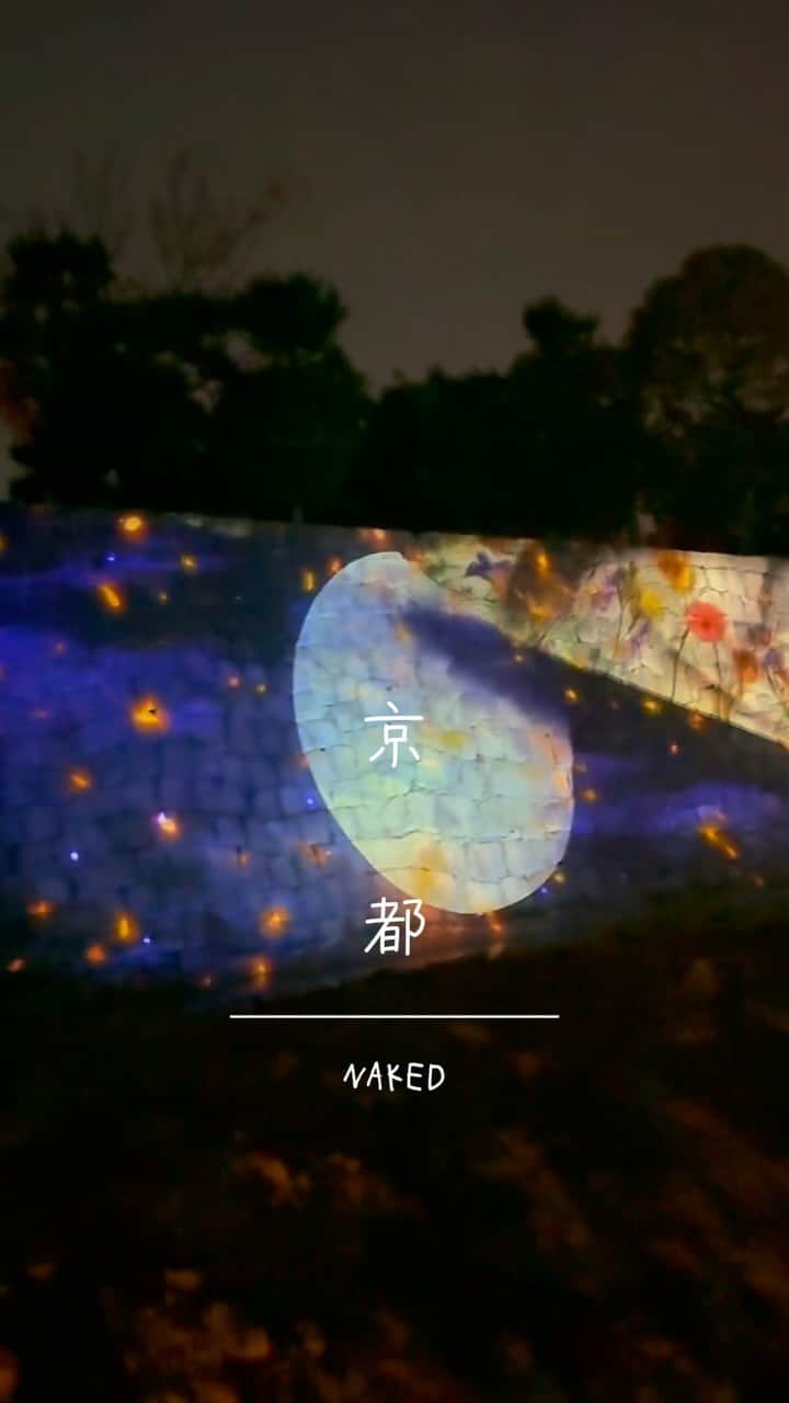 Minoriのインスタグラム：「二条城に映されたプロジェクションマッピングと紅葉🍁 綺麗すぎました😍💓✨  12月3日までやってるみたいだよ〜✨」