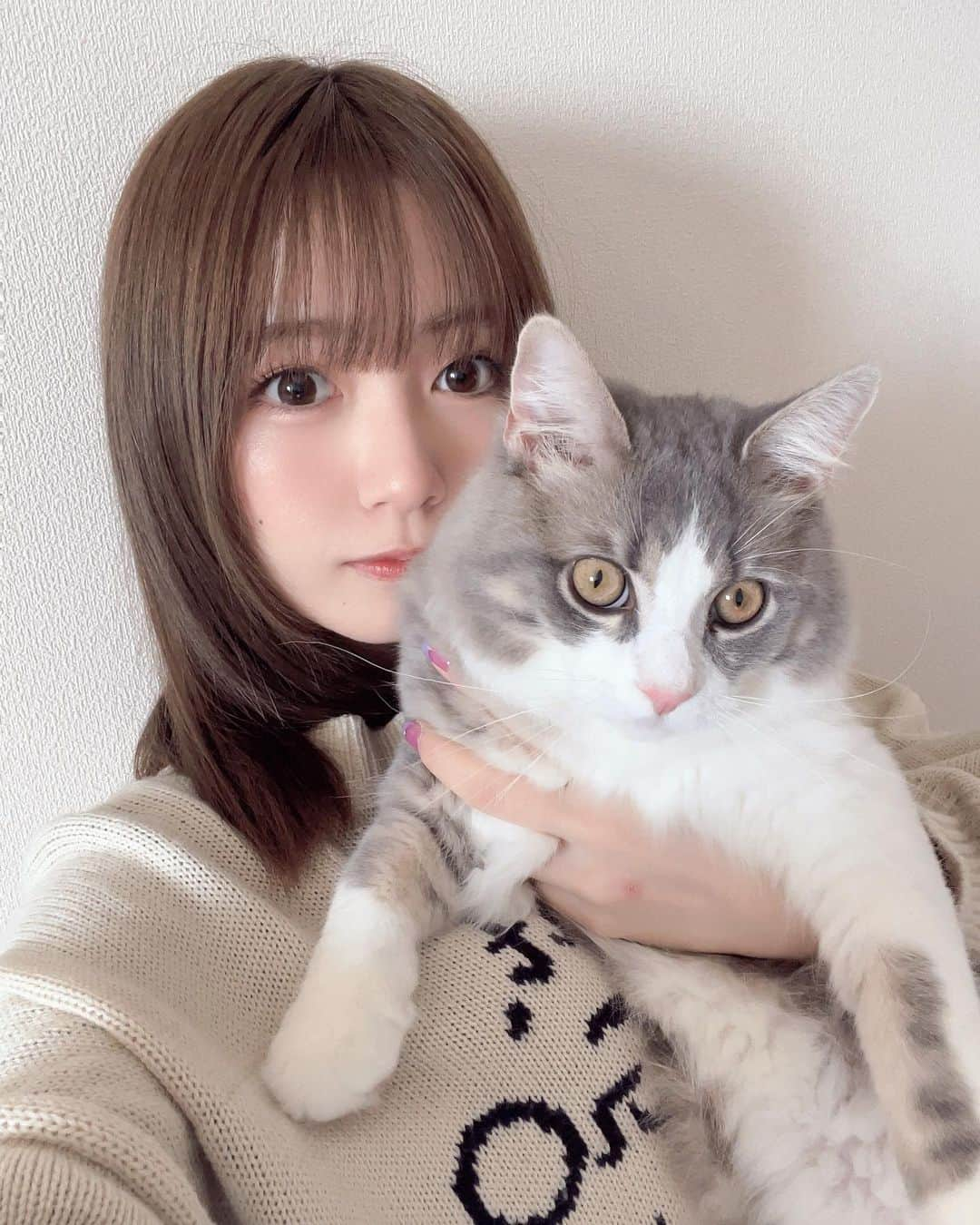 どみちゃんのインスタグラム：「今と家にきたての時^._.^ #2人とも顔変わりすぎ  #歳とったね  #いやたった4ヶ月や  #サイベリアン  #うなぎ  #って名前です  #男の子です  #誕生日は3月25日  #かわいい」