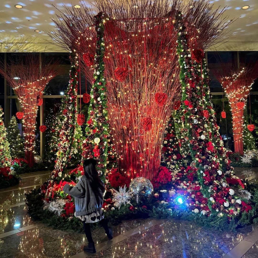 岡田美季さんのインスタグラム写真 - (岡田美季Instagram)「先日 @grandhyatttokyo にご招待いただき家族3人で　THE FRENCH KITCHENにてdinnerを🍽️ ゆっくりコース料理をいただいて、美味しいお酒を飲みキッズメニューも充実してて大満足満腹で帰りました👣 ホテルのエントランスはクリスマス仕様の素敵な装飾で、けやき坂も今年もピカピカイルミネーションがステキな季節になっていました🎄 やっぱりこの季節はイルミネーションにテンション上がる💫 またすぐ行こう🫶 #グランドハイアット東京 #dinner #grandhyatt #pr」11月27日 18時47分 - mikiokada0225