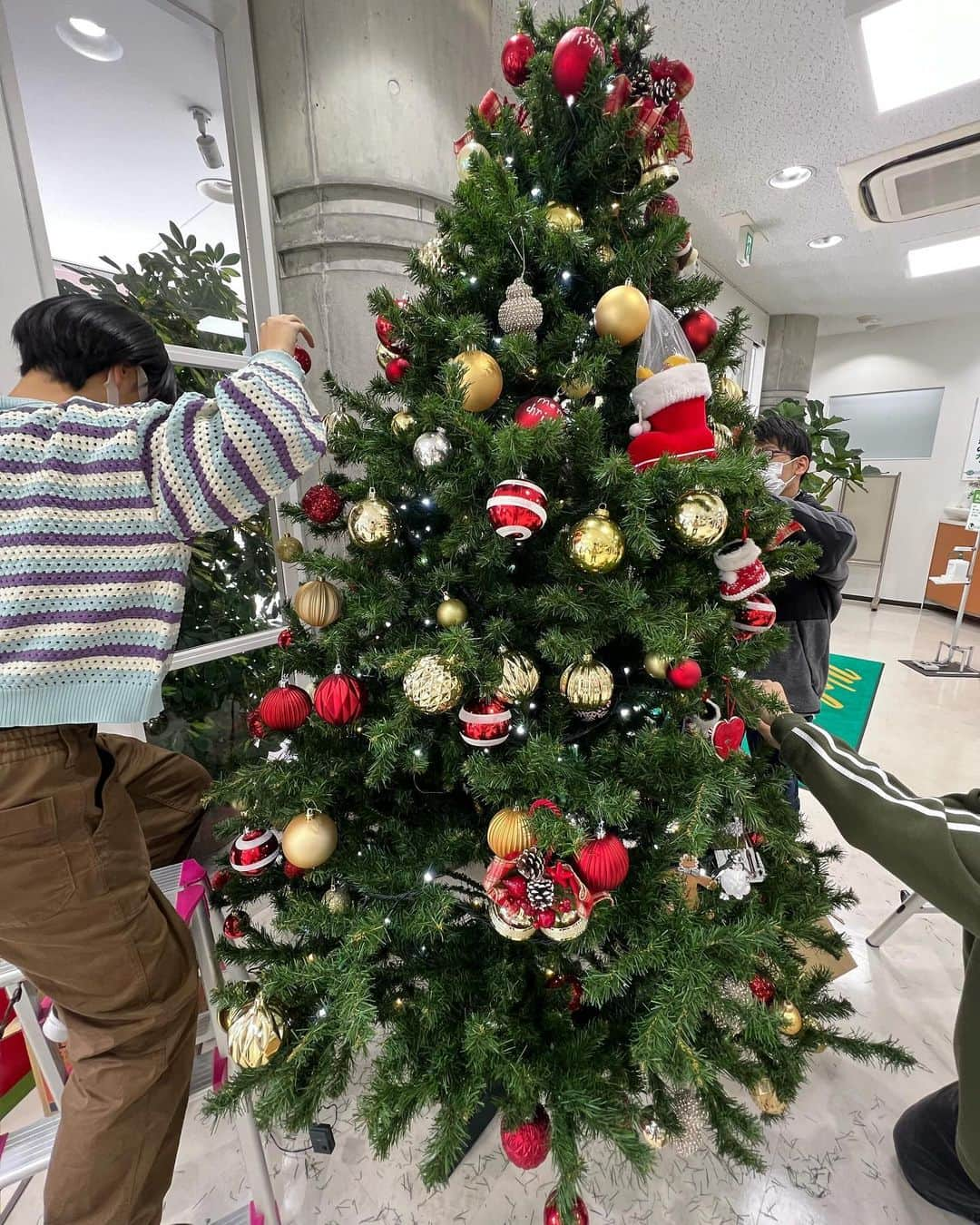 大阪ECO動物海洋専門学校さんのインスタグラム写真 - (大阪ECO動物海洋専門学校Instagram)「皆さんこんにちは！学生広報チームCharm.です！ 今回はCharm.のメンバーで校内にクリスマスツリーの設置と装飾を行いました🎄 専門の先生のご指導を受けながらとても綺麗なツリーが出来ました✨️ テーマカラーは赤色でクリスマスらしいツリーなので是非足を止めて見てくださいね！ 少し早いですがメリークリスマス🎄🎅✨  #大阪eco動物海洋専門学校#大阪eco  #動物専門学校  #動物飼育 #動物園 #水族館 #飼育員 #ドルフィントレーナー #アクアリスト #動物看護師 #トリマー #ドッグトレーナー#動物好きと繋がりたい#犬好きと繋がりたい #動物園・水族館&テクノロジー専攻 #eco自然環境クリエーター専攻 #ペットマネジメント&ホスピタリティ専攻 #動物園・動物飼育専攻 #水族館アクアリスト専攻 #ドルフィントレーナー専攻専攻 #動物看護師専攻 #ペットトリマー&エステティシャン専攻 #ドッグトレーナー専攻」11月27日 19時09分 - osaka_eco