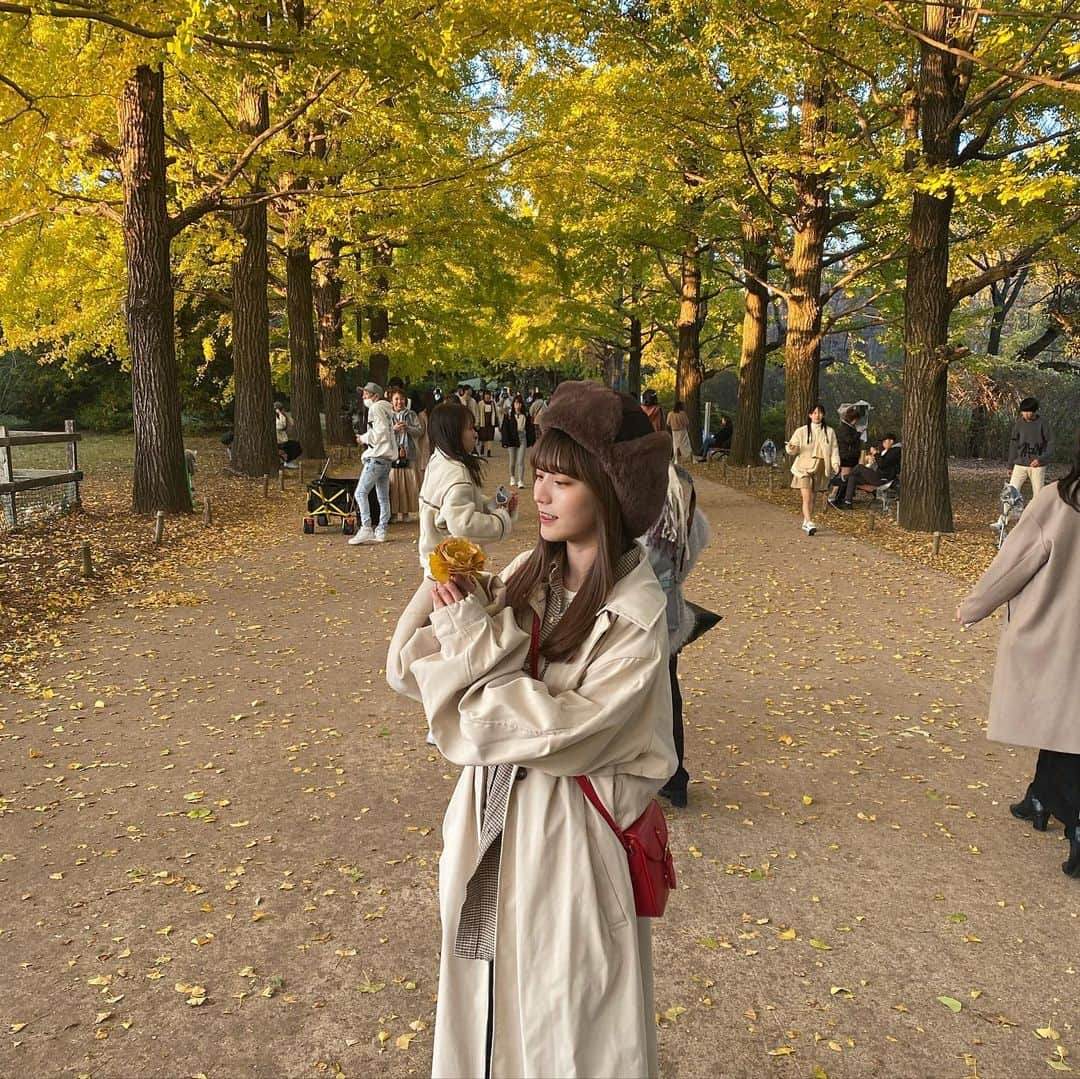 蓼沼優衣さんのインスタグラム写真 - (蓼沼優衣Instagram)「秋感じてきた🍁🍂   #昭和記念公園  #いちょう並木」11月27日 19時11分 - tadeyui