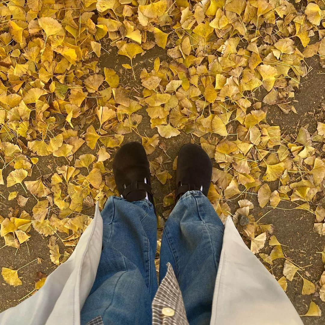 蓼沼優衣さんのインスタグラム写真 - (蓼沼優衣Instagram)「秋感じてきた🍁🍂   #昭和記念公園  #いちょう並木」11月27日 19時11分 - tadeyui