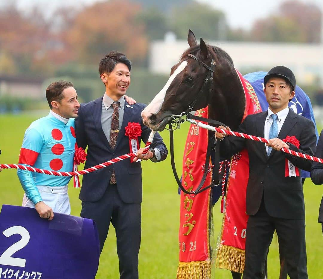 クリストフ・ルメールさんのインスタグラム写真 - (クリストフ・ルメールInstagram)「Les plus belles images de la Japan Cup 2023 🇯🇵  Equinox et @christophelemaire_officiel au sommet 🙌🏻  📸 @briensjeancharles @scoopdyga   #JapanCup #Equinox #ChristopheLemaire #Equidia #Courseshippiques」11月27日 19時21分 - christophelemaire_officiel