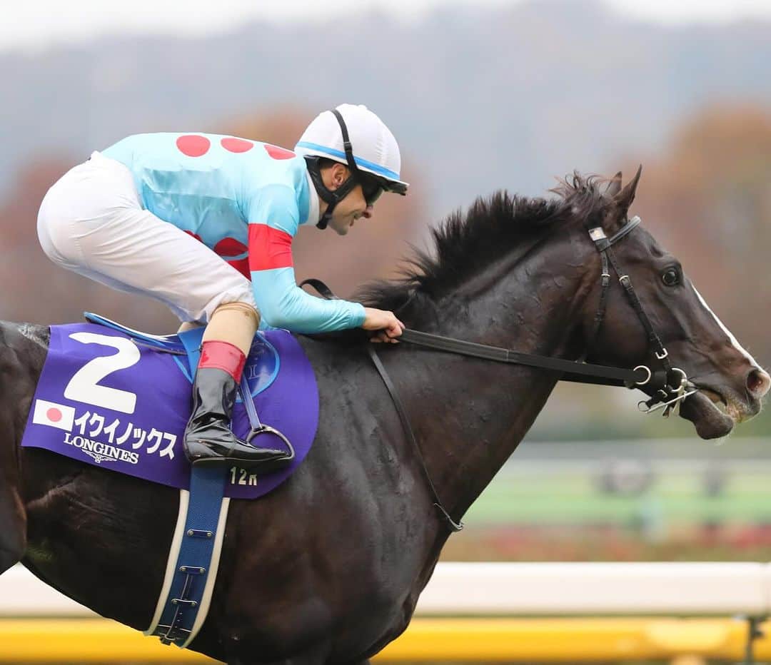 クリストフ・ルメールのインスタグラム：「Les plus belles images de la Japan Cup 2023 🇯🇵  Equinox et @christophelemaire_officiel au sommet 🙌🏻  📸 @briensjeancharles @scoopdyga   #JapanCup #Equinox #ChristopheLemaire #Equidia #Courseshippiques」