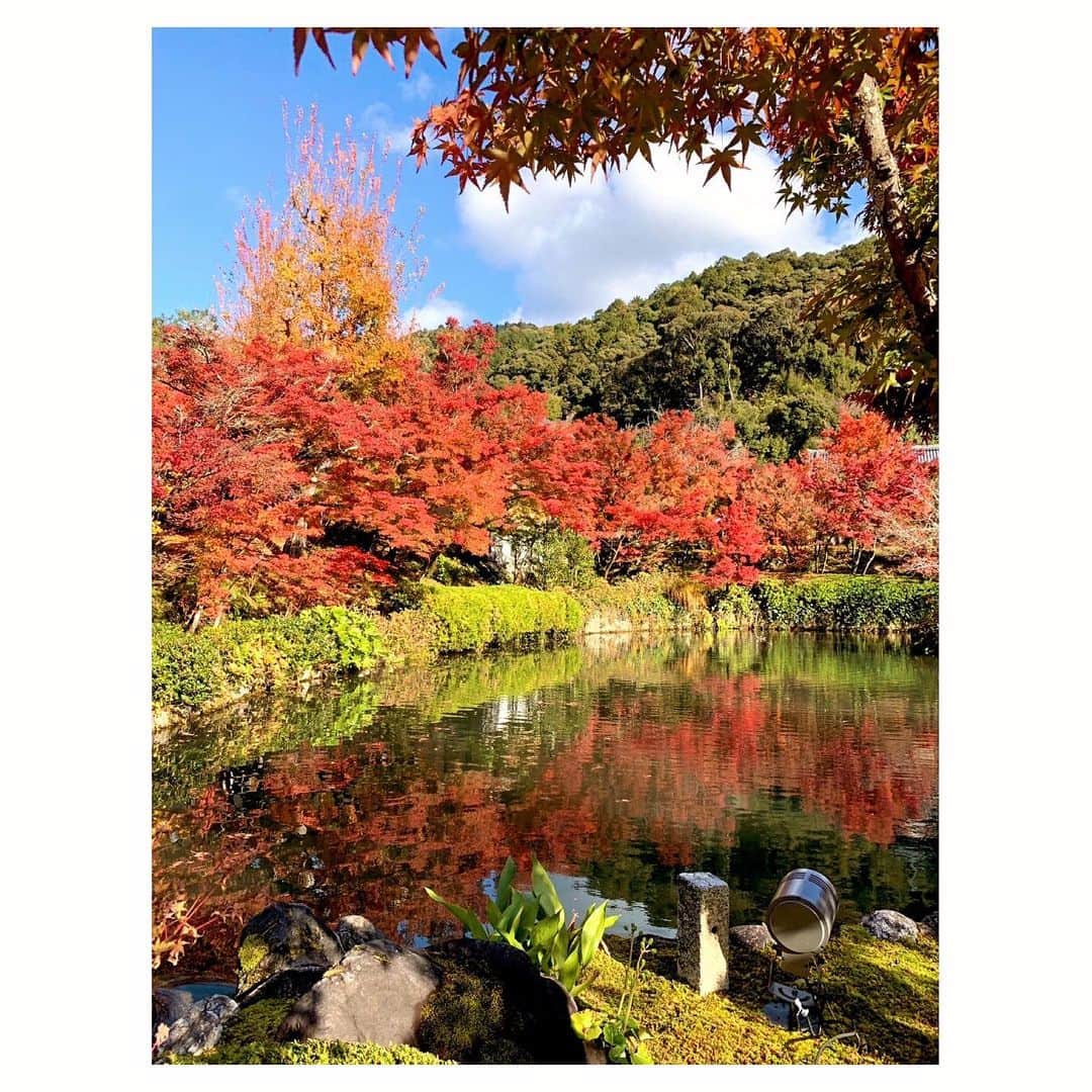 宇賀神メグさんのインスタグラム写真 - (宇賀神メグInstagram)「🍁  . .  去年行った京都🍁 TVで紅葉特集を見たら また行きたくなり 京都旅行の写真を見返しています。  . .  #紅葉 #🍁 #京都 #kyoto」11月27日 19時22分 - ugajin_megu