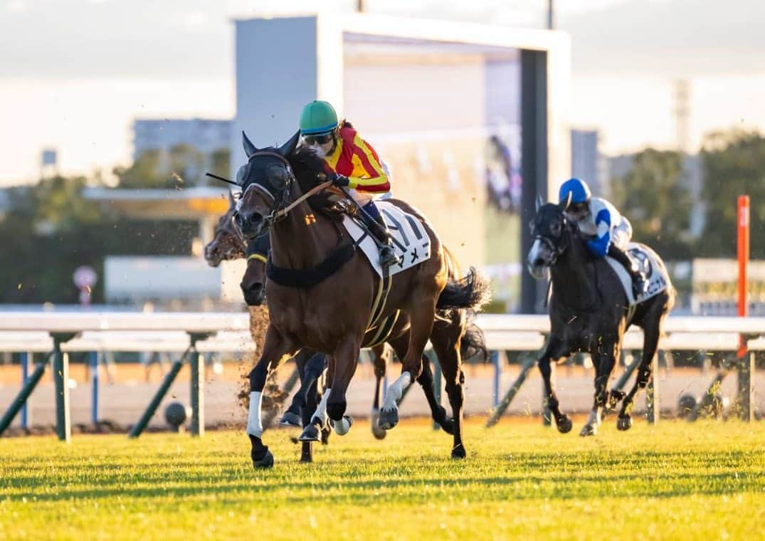 古川奈穂のインスタグラム：「土曜日、日曜日と京都競馬場で騎乗させて頂きました。 乗せてくださった関係者の皆様、応援してくださった皆様、ありがとうございました。  土曜日の最終レースをマメコ号で勝たせて頂きました😊 今回も最後まで頑張ってくれました☺️ 関係者の皆様、ありがとうございました🙇‍♀️  最終レースでしたが、沢山の方にウィナーズサークルにお集まり頂き、とても嬉しかったです！ 全てのサインにお応え出来ず、すみません… 1回でも多くウィナーズサークルに行けるように、一鞍一鞍全力で頑張ります🏇  明日は金沢競馬場で交流競走と9R・11Rに騎乗をさせて頂けることになりました🙇‍♀️ 頑張ります🏇  写真はいつもお世話になっている高橋カメラマンに頂きました☺️  #京都競馬場   #マメコ   #金沢競馬場」