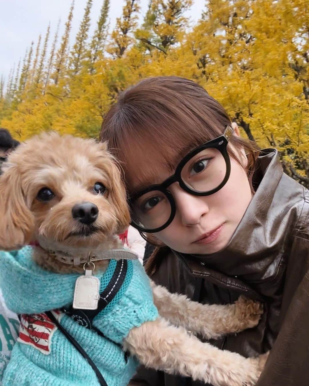 中山莉子さんのインスタグラム写真 - (中山莉子Instagram)「→ 安定に可愛いウク君（１）です☺️🤍 ⁡  #dog #犬 #愛犬 #マルプー #いぬすたぐらむ #dogstagram #犬のいる暮らし #かわいい」11月27日 19時33分 - nakayama_riko_official