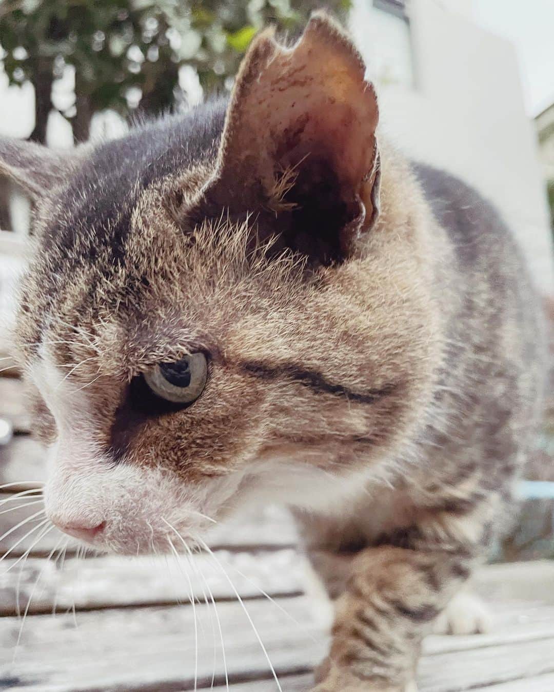 平林一哉さんのインスタグラム写真 - (平林一哉Instagram)11月27日 19時51分 - ithinkimkaz