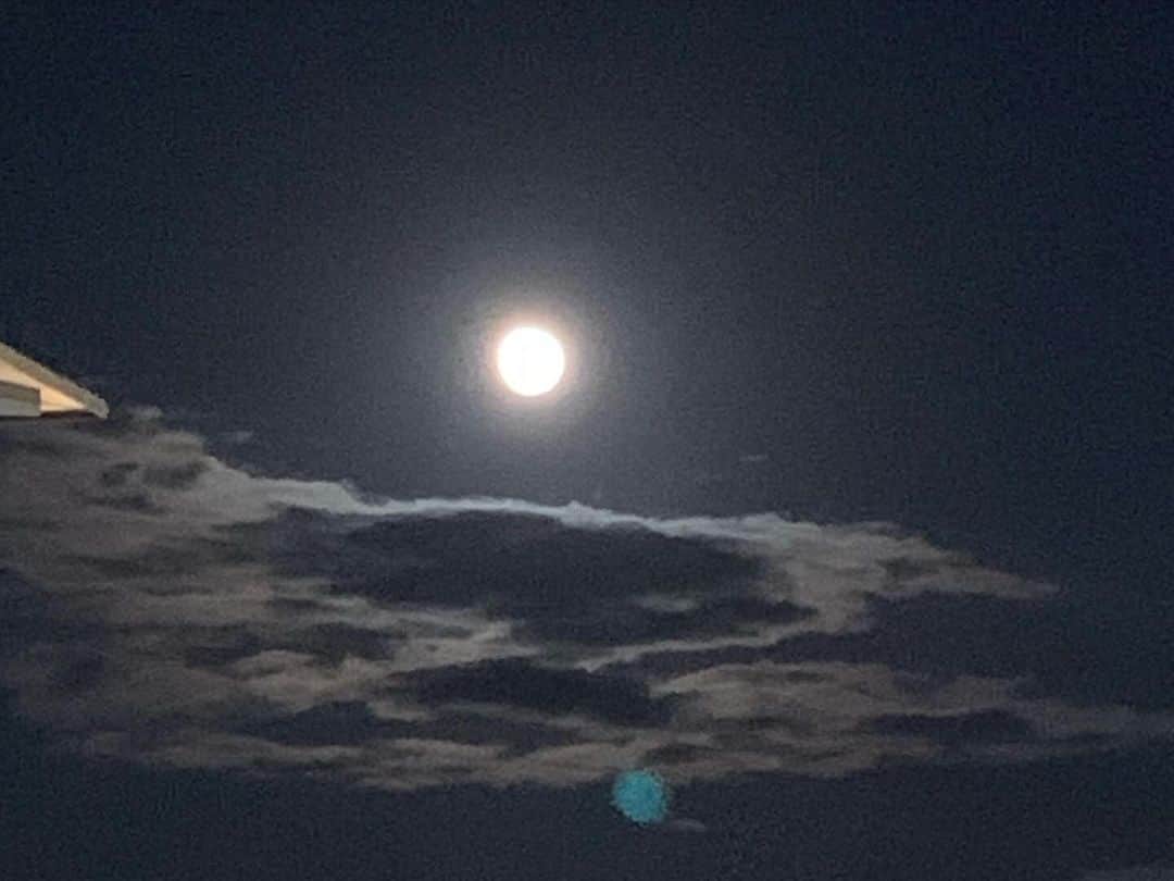 橋本志穂さんのインスタグラム写真 - (橋本志穂Instagram)「今日の月 ビーバームーンというんですってね。 夕方上り始めた時は オレンジ色で大きかったなぁ。  木と山と雲と 全てが美しかったです。  お風呂に入りながら ずーっと満月を眺めていました。  満月って言うけど、下の方が欠けているように見えるのは　私の目が悪いからかしら❓  2枚目は、満月前夜の月。　 昨日の月があまりに綺麗で、 月を撮影するためのアプリをダウンロードしたのに、、、 この月を発見して、 「よし！どんだけ綺麗に撮影できるかな❓」とスマホを手にしたらバッテリー無くなってた。。チーン それにしても、先月買ったのに、 夫のiPhone12より先にバッテリー落ちる。 ゴルフ行ってもハーフでほぼなくなり低電力モードに。 Wi-Fiも切って、電力節約してるのにー。iPhone15って格段にバッテリーの持ちが良くなったって言ってなかったっけ❓初期不良じゃないかってみんなに言われるー😵‍💫  1枚目の月を撮影した直後に落ちて、 もっと良い場所で撮りたい‼️と思っても何もできなかった〜😅  それにしても、、 どこにいても みんな同じ月をみてるんだねーと思うと 不思議で嬉しい  #満月 #ビーバームーン」11月28日 1時27分 - shihohashimoto3