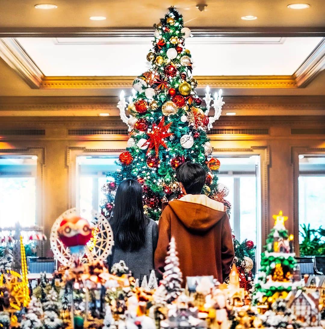 ホテル椿山荘東京のインスタグラム：「. キラキラ輝くクリスマスデコレーション✨ 大きなクリスマスツリーの前でぜひ記念撮影も🎄  Beautifully glittering Christmas tree decorations Why not take your picture in front of our big Christmas tree?  @hotelchinzansotokyo_official  @hotelchinzansotokyo_wedding  #記念日なんだし椿山荘  #christmasjapan #christmas #christmastree  #クリスマス #クリスマスツリー #クリスマスリース」