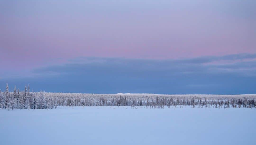 フィンランド政府観光局さんのインスタグラム写真 - (フィンランド政府観光局Instagram)「フィンランド最北部ではフィンランド語でkaamos（カーモス）と呼ばれる極夜の季節が始まっています。  フィンランド最北の自治体Nuorgam（ヌオルガム）では11月25日土曜日の12:05pmに日が沈み、次に日が昇るのは1月18日となります。極夜は北極圏で起こる現象で、北極圏の中でも場所によって長さが異なりますが、フィンランド全土で冬至に向かってだいぶ日が短くなっています。  この時期は、真っ暗闇というわけではありません。白い雪、輝く月と星、そして時には色とりどりのオーロラが、驚くほど幻想的な風景を作り出します。 📸 Lapland Material Bank | Markus Kiili Lapland Material Bank | Arto Komulainen / Lapland Pictures Lapland Material Bank | Arto Komulainen / Lapland Pictures Lapland Material Bank | AV Lapland  #visitfinland #ourfinland #visitfinlandjp #finland #北欧旅行 #travelgram #フィンランド #フィンランド政府観光局 #北欧 #travel #instatravel #travel #travelgram #travelling #traveler #旅したくなるフォト #旅行 #旅 #海外旅行 #travelphotography #旅行大好き #旅行好き #旅スタグラム #旅好き #ヨーロッパ旅行 #旅に出たい #トラベル #北極圏 #極夜 #冬」11月27日 20時00分 - visitfinlandjapan