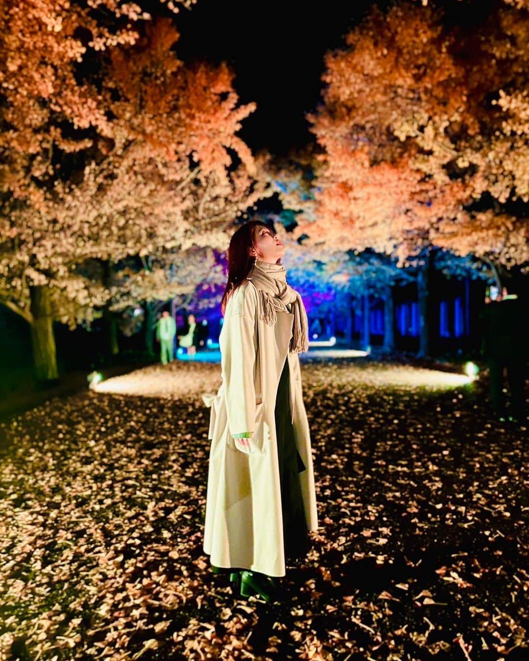 二瓶有加さんのインスタグラム写真 - (二瓶有加Instagram)「. 昭和記念公園のイチョウのライトアップ🍁✨ . 綺麗すぎた、、、🥹🫶 . 時間がなくて、入り口ゲートしかみれなかったから、 来年こそはリベンジするぞっっ！！ イルミネーションも楽しみだな⭐︎ . #昭和記念公園 #紅葉スポット  #イチョウ並木  #ライトアップ」11月27日 20時07分 - niheiyuka.official