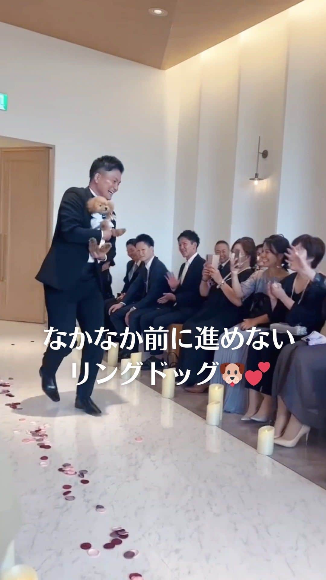 Choole 業界初、オンライン結婚式準備サービスのインスタグラム：「【#リングドッグ】 こんばんは！トキハナ編集部です✨   今回は、 『なかなか前に進めないリングドッグ』 をご紹介🐶💕  - - - -  Photo by @nnwe_dding  - - - -   ——————————————————   ⚜️トキハナって？ LINEで式場探し使いやすさNo.1✨ 『結婚式場見学予約サイト👰🏻‍♀️』  🕊️トキハナの特徴🕊️ ・・LINEで元ウエディングプランナーに相談できる（夜22時まで） ・式場との独自契約により「即決不要の最低価格保証」を約束 ・見学手配＋見積もりチェック付き ・カンタン診断で好みの式場が見つけられる プロフィールリンクからカンタンウエディング診断やってみてくださいね💛   —————————————————  #プレ花嫁 #卒花嫁 #トキハナ #結婚式 #リングドッグ #結婚式ハプニング」