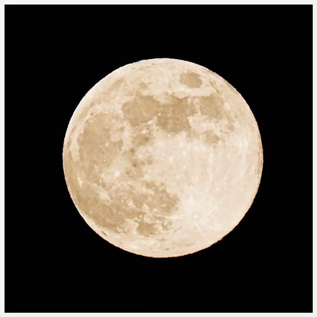 さだまさしさんのインスタグラム写真 - (さだまさしInstagram)「１１月の満月🌕 ビーバームーン . #満月 #ビーバームーン #月 #さだまさし #sadamasashi」11月27日 20時23分 - sada_masashi