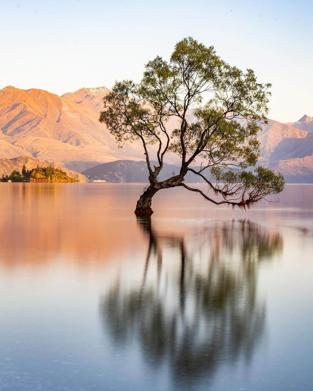 botanist officialのインスタグラム：「ここは、ニュージーランドの南島に位置するオタゴ地方の湖 #ワナカ湖  ただ一本、湖の真ん中にひっそりと生える柳の木が目を引きます。 その凛とした佇まいに清らかで透明な水面に映し出される陰影も相まって、なんとも筆舌に尽くしがたい美しさ🌲  絵画のようなこの景色を写真に収めようと、世界各地から多くの方が足を運ぶ人気のフォトスポットです。  ニュージーランドで四番目の大きさを誇るワナカ湖は、四季折々の大自然を満喫できるリゾート地としても有名。 湖でのアクティビティを楽しむ人々で賑わいを見せた春夏を経て、ポプラ並木の黄葉や白銀に輝く峰々が満喫できる秋冬へと移り変わっていきます。 訪れるたびに違う表情を見せてくれることから、一年を通して観光客が絶えません。  湖周辺には複数の散歩道が設備されていて、木々に囲まれながらの散策を楽しむこともできます。 日々の喧騒を忘れてさせてくれる楽園に、ぜひ一度足を運んでみてはいかがでしょうか✨  Thank you! ：@icchy37  ✔︎ 当アカウントでは、植物と共に生きる「ボタニカルライフスタイル」を豊かにするため、四季折々の自然の景色や、植物の魅力が溢れるボタニカルスポットを紹介しています。  ✔︎ 植物がもたらす美しい景色のお写真に #絶景ボタニカル を付けて投稿していただくと、当アカウントでご紹介させていただくことがございます。  #絶景ボタニカル #絶景巡り #世界の風景  #ニュージーランド #ニュージーランド旅行 #wanakalake #自然が好き #自然と暮らす  #自然の美しさ #自然のある暮らし #ボタニカルライフスタイル  #BOTANIST #ボタニスト」