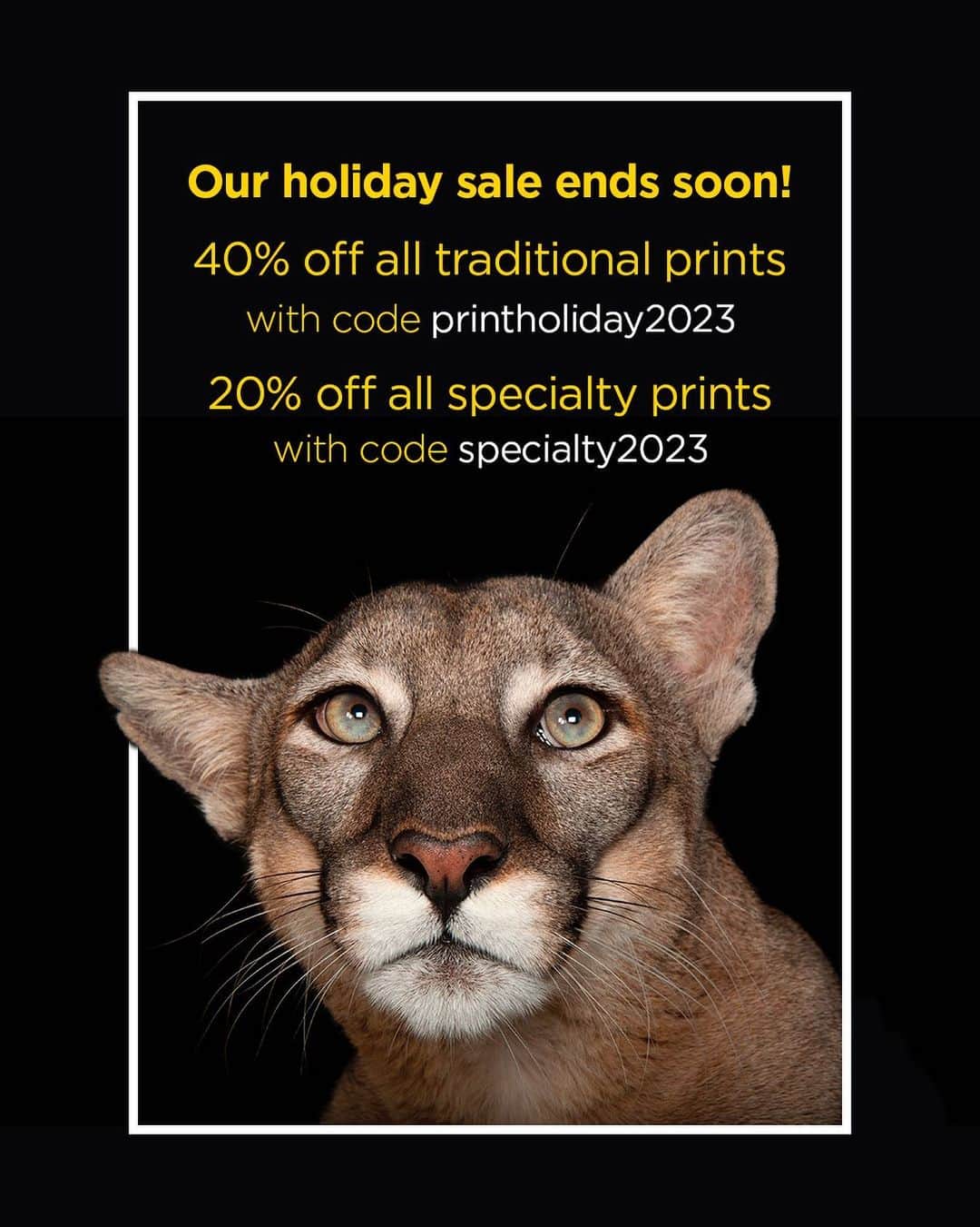 Joel Sartoreのインスタグラム：「Time is running out - don’t miss your chance to support the Photo Ark this holiday season. Click the first link in my bio to order your favorite prints before the clock strikes midnight!」