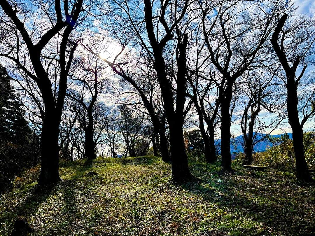 内山ミエさんのインスタグラム写真 - (内山ミエInstagram)「行き止まっちゃった！笑  かと思ったけどなんとか頂上まで到着🫠  偶然、里山で見つけた神社は雪囲いの為、完全防備で参拝は出来ないレベルの守備力でした😂  里山ハイキング🏞️🥾&プチ登山楽しかったです⛰️ ぴょっと撮った木の写真なんですが、これから真っ白になっちゃうから記念に残したくて載せます  #Columbia #コロンビア #登山ファッション  #ハイキング #里山」11月27日 20時20分 - mieuchiyama