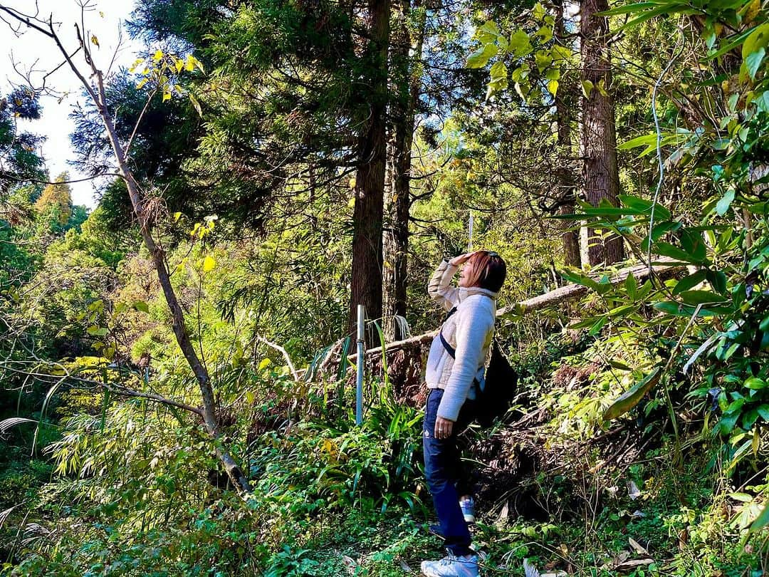 内山ミエさんのインスタグラム写真 - (内山ミエInstagram)「行き止まっちゃった！笑  かと思ったけどなんとか頂上まで到着🫠  偶然、里山で見つけた神社は雪囲いの為、完全防備で参拝は出来ないレベルの守備力でした😂  里山ハイキング🏞️🥾&プチ登山楽しかったです⛰️ ぴょっと撮った木の写真なんですが、これから真っ白になっちゃうから記念に残したくて載せます  #Columbia #コロンビア #登山ファッション  #ハイキング #里山」11月27日 20時20分 - mieuchiyama