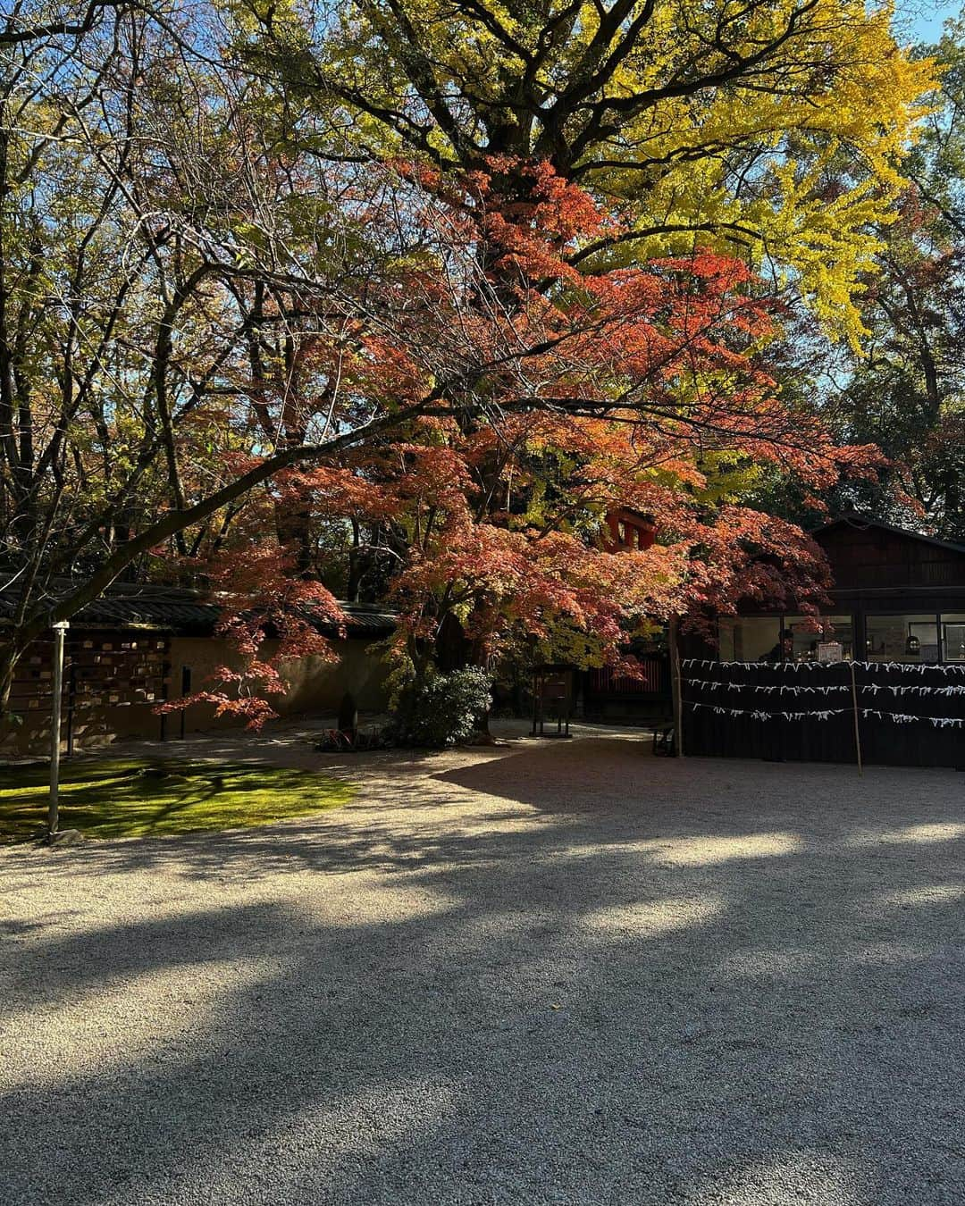 池田有里紗のインスタグラム：「🍁  美麗祈願として鏡絵馬を奉納✨  外見だけではなく 内面まで美しくなりますように！  #京都 #河合神社 #josemoon #cafune #mycafune」