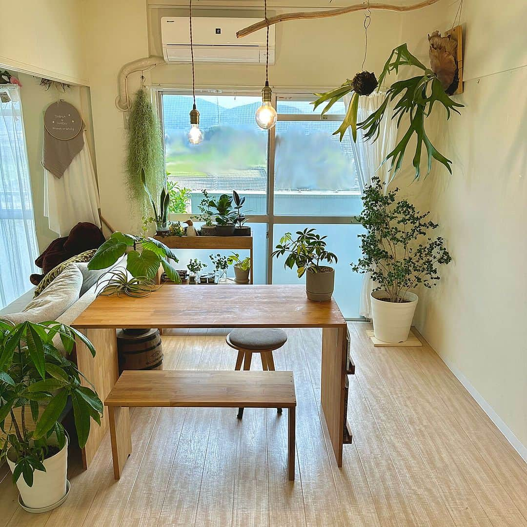 RoomClipJPさんのインスタグラム写真 - (RoomClipJPInstagram)「この部屋が素敵だなと思ったら「🌿」(葉っぱ)とコメントしてください！ 植物がたっぷりのナチュラルさが素敵なpakila15さん宅✨ カフェのような空間づくりやオリジナルの衣類収納など暮らしを豊かにする工夫がとても参考になりますね！ ---------------------------------------  Photo: pakila15 RoomNo. 1954435   --------------------------------------  ぜひ「RoomClipムービー」のハッシュタグで 皆様の素敵なお部屋を撮影した動画を投稿してください🏠   --------------------------------------  この部屋のインテリアはRoomClipのアプリから ご覧いただけます。  アプリはプロフィール欄から ▶︎ @roomclipjp  ------------------------------------  600万枚以上集まる中から リアルな部屋のインテリア写真を毎日発信！  ------------------------------------  #ナチュラルインテリア#グリーンのあるインテリア#植物のある暮らし#観葉植物のある暮らし#二人暮らし#二人暮らしインテリア#二人暮らし部屋#2人暮らし#3dk#賃貸暮らし#団地インテリア#団地暮らし#暮らしをたのしむ#雑貨好きな人と繋がりたい#家づくりノート#マイホーム計画中の人と繋がりたい #丁寧な暮らしに憧れる#くらしを楽しむ#日々のくらし #失敗しない家づくり#家づくりの記録  #マイホーム計画中 #おうちづくり#日常の記録 #おしゃれな家づくり#こだわりの家づくり#洗面所インテリア#インテリアを楽しむ#roomclip #ルームクリップ」11月27日 20時30分 - roomclipjp