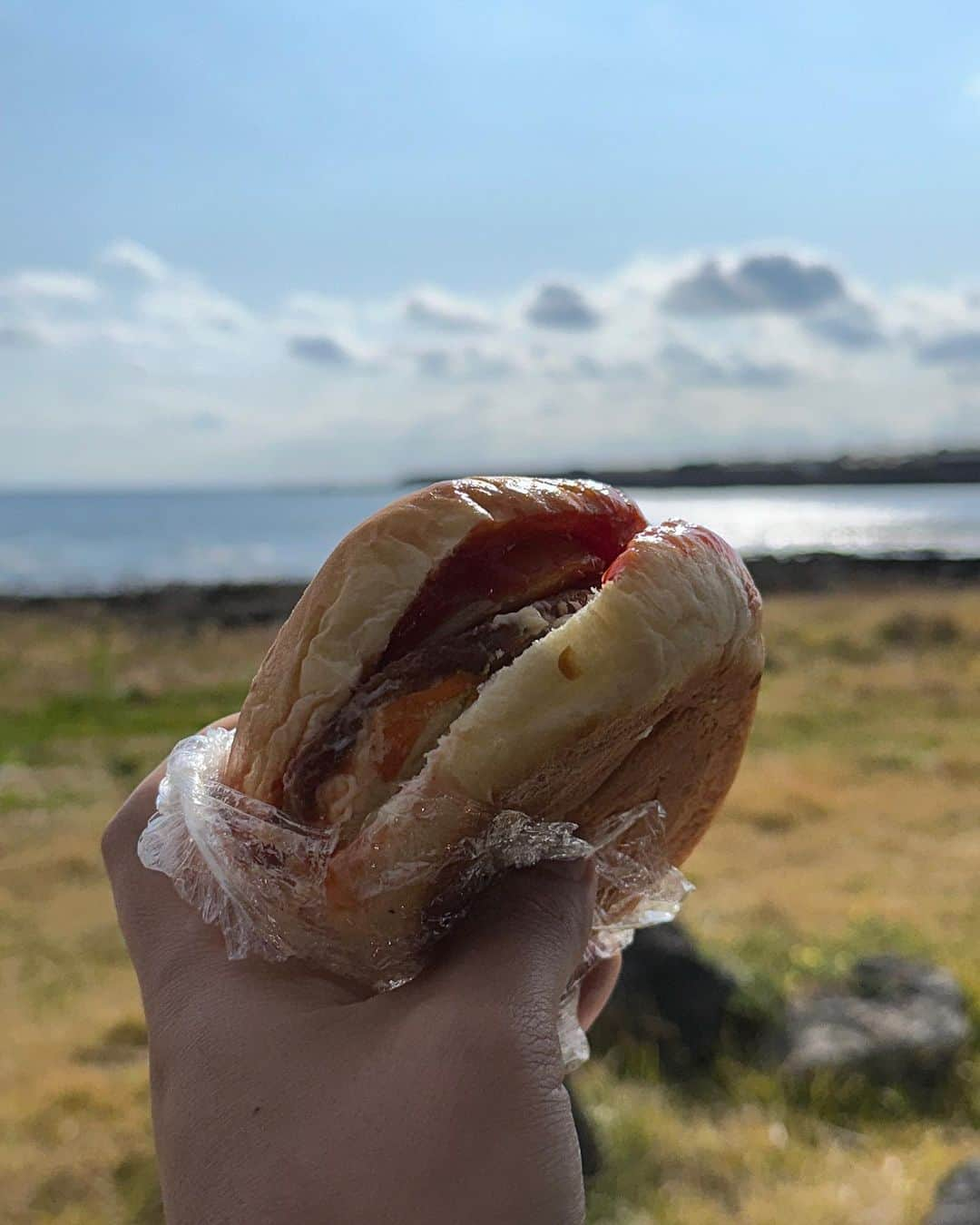 가로수길 , Seoulさんのインスタグラム写真 - (가로수길 , SeoulInstagram)「니트는 내가 좋은게 분명해 🥴  2년만에 본 니트는 다 커 있었고 여전히 따뜻한 햇살이 가득 넘치는 @oldfashiioned 카페는  날 행복하게 해주었고  화려하진 않지만 촬영하고 나면 늘 뿌듯한 @greenbliss7  촬영 오전에는 모델 컷과 오후에는 그린블리스 10주년 제주 행사 아이들의 런웨이로 시작해 합창공연까지 어린 아이들 미소를 보고 있으니 행복  -너무 먹고 싶었던 범일분식 , 순대국밥 최고 …  - 산지해장국을 먹기 위해 전날 과음한 나  - @sihooyoun 가 시켜준 낮 불멍에 구운 귤은 최고  작년8월 이후로 너무 오랜만에 방문한 제주 여전히 멋지고 아름답고 맛있는 음식이 가득한 곳  Love Jeju 🏝️🏝️🏝️🏝️」11月27日 20時31分 - jaylim1