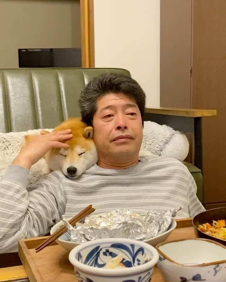 柴犬小雨のインスタグラム：「・ 今夜のおふたりさん ・ ・ ・ #shiba_snap #shibamania #petstagram #dog  #shibadog #petstagram #pet #shiba #shibainu #shibaaaaainu #shibastagram #pecoいぬ部 #dogstagram #子犬#仔犬#狗 #犬のいる暮らし #犬のいる生活 #こいぬ#いぬのきもち #豆柴#まめしば#しばいぬ #9gag #しばけん #ペット#小狗#柴犬#犬#柴犬小雨#シバイヌ」