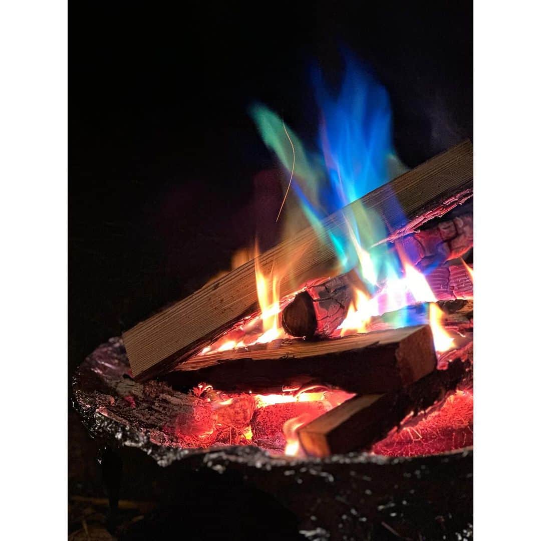 水崎綾女さんのインスタグラム写真 - (水崎綾女Instagram)「Camp🏕️🐶🌰 キャンプの季節だぁぁぁぁーー 虫が苦手すぎるから夏は遠慮してるんだけど、秋冬は寒いから焚き火もやりがいがあるしとっても好き。  ご飯は今回初使用のマルチグリドル。なんかマックでそんなバーガーがあったような…🍔？ これとっても使いやすくて、ほんとうにおすすめだった。なんでも作れるしくっつかない最高。チーズフォンデュもあちあちで美味しすぎた。  焚き火が大好きなんだぁ〜。 まろんに見守られながらフェザースティック作って着火。ぱちぱちって音が素敵だよね。癒されたぁ。  マシュマロ持っていくの忘れたから、次はスモアもね。  #dog #dogoftheday #camping #camp #camplife #camper #冬キャンプ #焚き火 #🔥 #fire #キャンプ女子 #フェザースティック #マルチグリドル #チーズフォンデュ #ご飯」11月27日 20時39分 - misakiayame