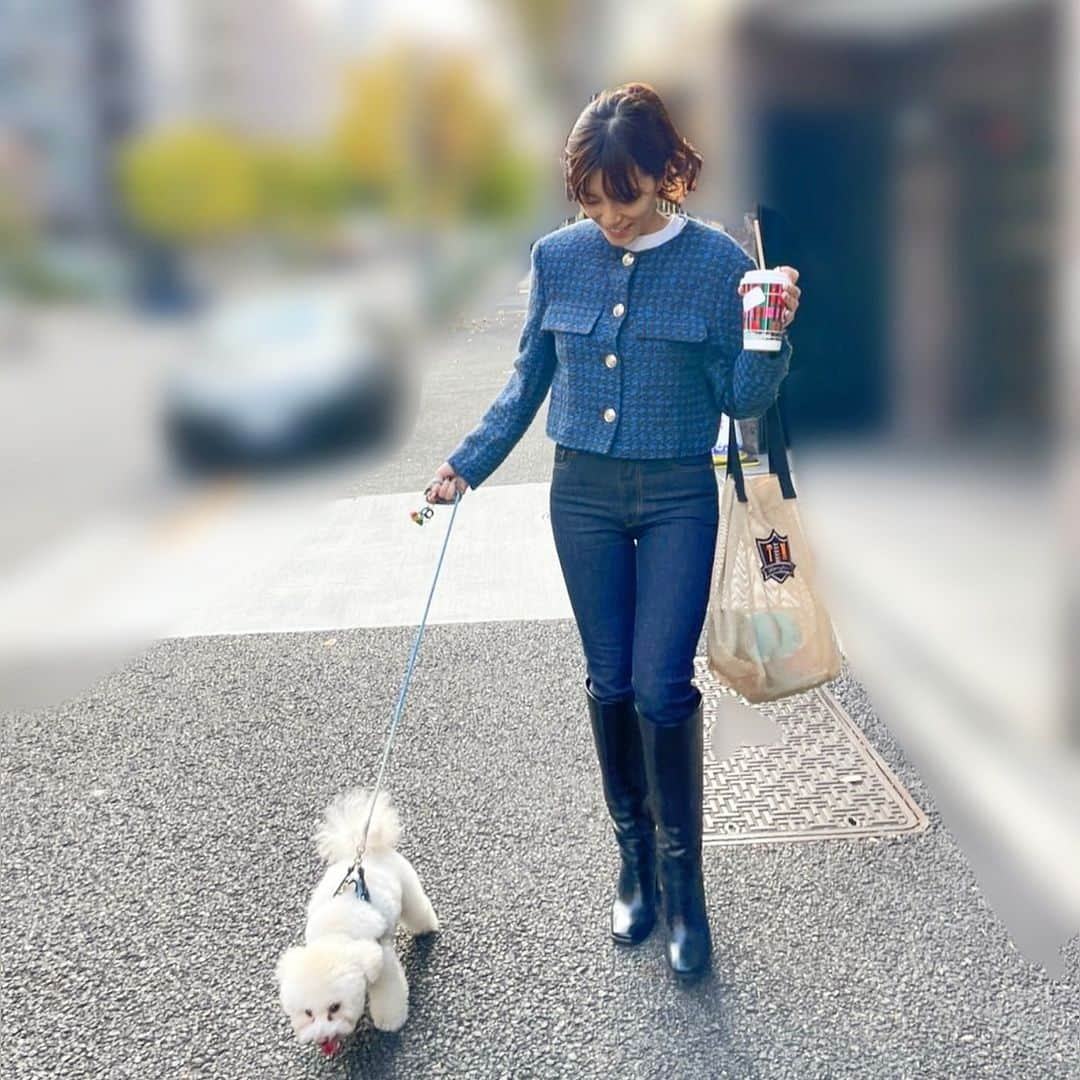 三谷紬さんのインスタグラム写真 - (三谷紬Instagram)「🐩 秋の足袋さんぽ🍂 お散歩大好きさんだから ズンズンズンズン歩いて行く足袋さん。 とにかくお外に出るとハイテンション、 家でも窓越しに外を眺めていることも👀🩵 * #散歩#さんぽ#お散歩#お散歩🐾#おさんぽ#散歩写真#プードル#teacuppoodle#クリーム#cream#色#color#散歩だいすき犬#秋#🍂#お散歩日和#テレビ朝日#アナウンサー#三谷紬」11月27日 20時50分 - mitani_tsumugi