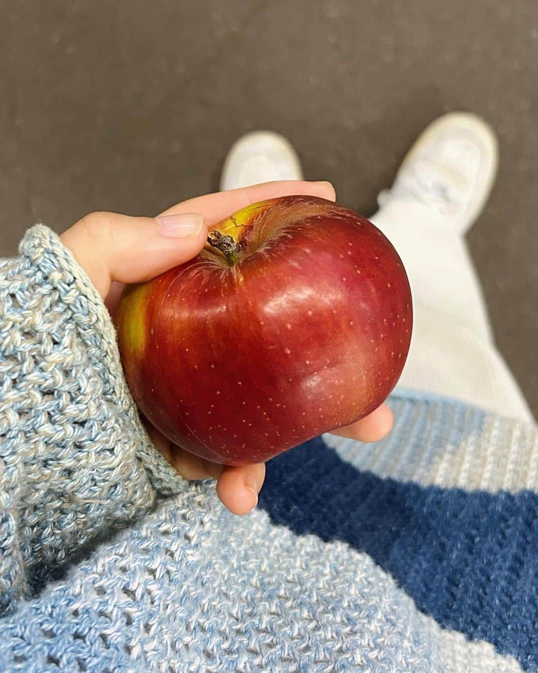 安藤百花さんのインスタグラム写真 - (安藤百花Instagram)「秋、総まとめ🍂  1-2.秋の落とし物、色がぴったりだったので しばらく身につけて歩いた。 コートは一目惚れしてしまい喫茶店で札束を 握りしめながら3時間くらい悩んだ末に購入。 自分の名前にも雰囲気にもぴったりで嬉しい。  3.この日は色んなことが少しずつ変で 明日起きても世界がこのままだったらどうしようと 高速バス乗り場のベンチでしばらくお喋りした。 あまりに変な日なのでいつもと違う注文をしようと スタバでアールグレイティーラテを頼む。 オーツミルクに変更すると焼きたて紅茶スコーンみたいな 味になって美味しいことを発見🔍  4.ポケットに入るサイズの果物が もっと普通にあればいいのにね。な。 今のところみかんが適任。  5.お皿洗いもした、お茶も淹れた、支度も済んだ、 どや顔でお布団に戻るわたし。佐渡は寒かった。  6.あまりに家族すぎるねこちゃんたち 一緒に日向ぼっこをしてばいばいした🐈  7.美味しくごはんを食べることだけが取り柄。 これがとほほなのかうふふなのかは不明。  8.財布を無くした朝。あまりにお天気がいいので 一旦諦めてクロワッサンとコーヒーをしていたら お花みたいな虫に出会った。しばらくみつめた。 アブラムシの仲間だったかな。  9.履いたらあんまりにもぴったりだったので 買ってしまったデニム。デニムのぴったりは嬉しいよね。  10.新しい相棒。書店にて出会う。」11月27日 20時58分 - momoka_031