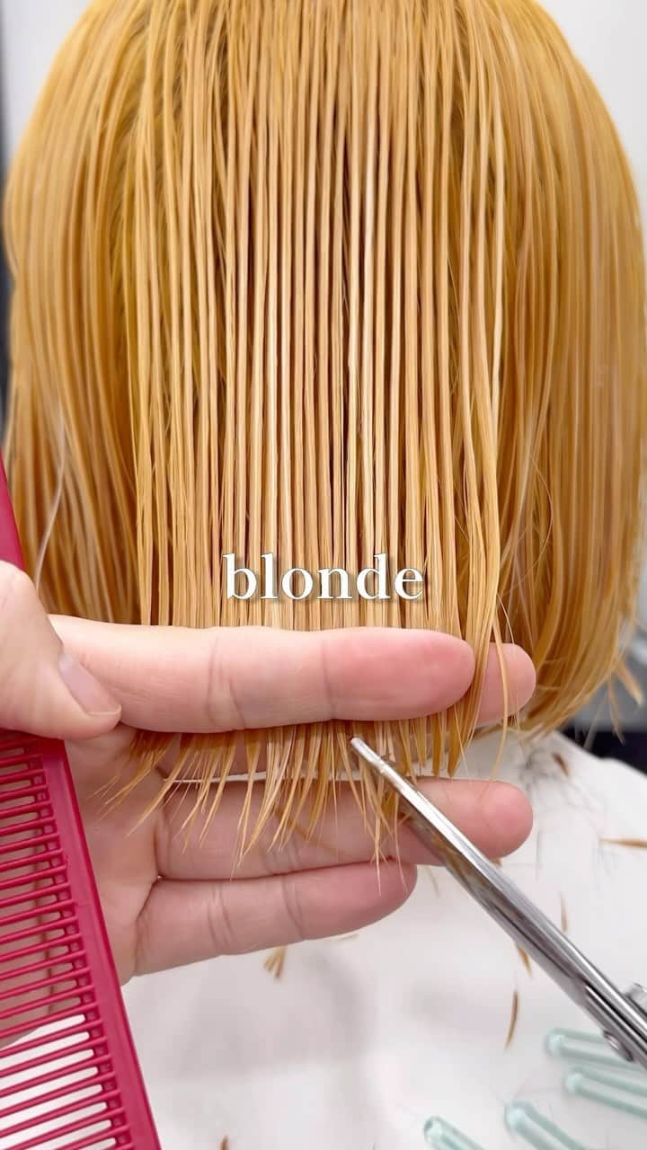 Seiichiro Kawakamiのインスタグラム：「blonde🩵 . ➖➖➖➖➖➖➖➖➖➖➖➖➖➖ . 《《　ご予約　》》 【平日】10時～20時 〜【Price】〜 カット_6800円 カラー_8800円 カット＋カラー_12000円 カット＋ダブルカラー_21000円 カット＋3Dハイライト_21000円 カット＋パーマ_13000円 カット＋縮毛矯正_21000円 髪質改善トリートメント_8800円 . ➖➖➖➖➖➖➖➖➖➖➖➖➖➖ . #cut #bob #カット動画 #切 #銀座美容室」