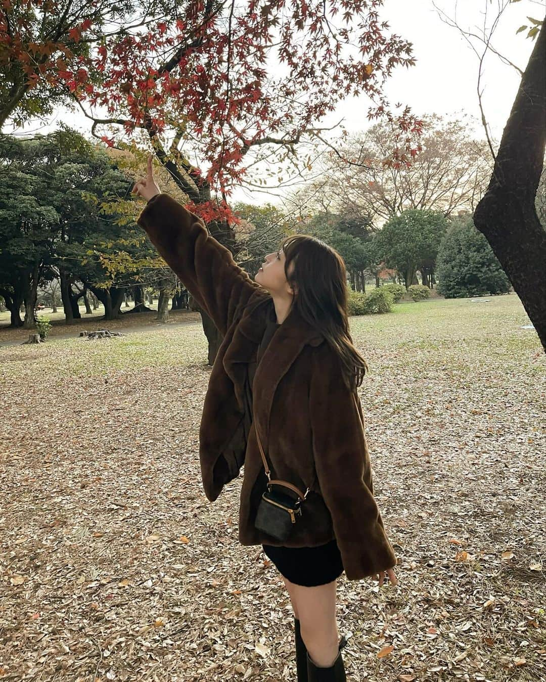 上西星来さんのインスタグラム写真 - (上西星来Instagram)「Autumn〜🍂」11月27日 21時00分 - seira_jonishi_tpd