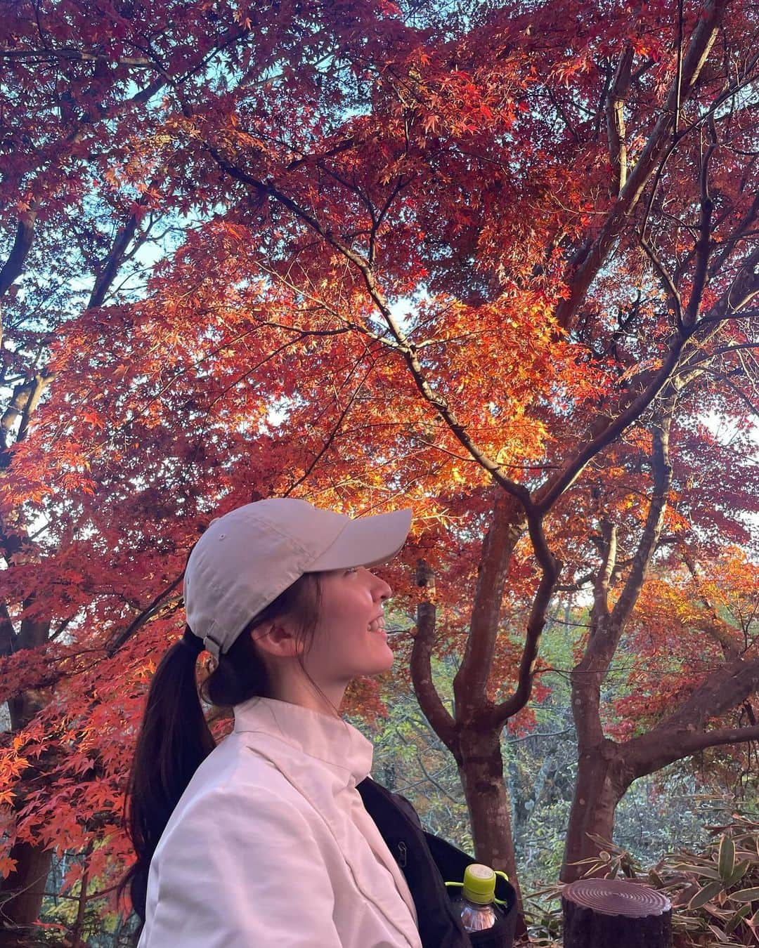 駒木結衣さんのインスタグラム写真 - (駒木結衣Instagram)「高尾山へ⛰️🍂  紅葉をたっぷり楽しめた休日でした。 たくさん歩いて食べて、プラマイゼロ☺️  #高尾山 #紅葉 #〆はたこ焼き」11月27日 21時00分 - komaki_yui