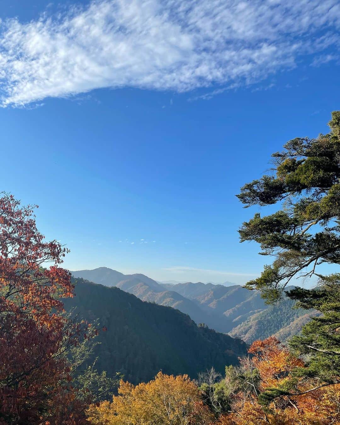 駒木結衣のインスタグラム：「高尾山へ⛰️🍂  紅葉をたっぷり楽しめた休日でした。 たくさん歩いて食べて、プラマイゼロ☺️  #高尾山 #紅葉 #〆はたこ焼き」
