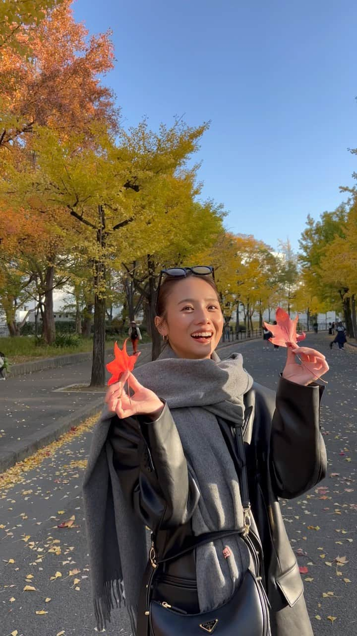 伊原葵のインスタグラム：「🍁🍂☀️  ファンミ前日に大阪城公園で紅葉感じてきた☺️ 大好きなファミリーと♡いつもありがとうやで🫶🏻  代々木公園とか外苑前は人が多すぎて！笑 ゆっくり見れないけど、大阪城公園は 人が少なめで見やすかった〜✌️  #aocode #大阪城公園 #紅葉」