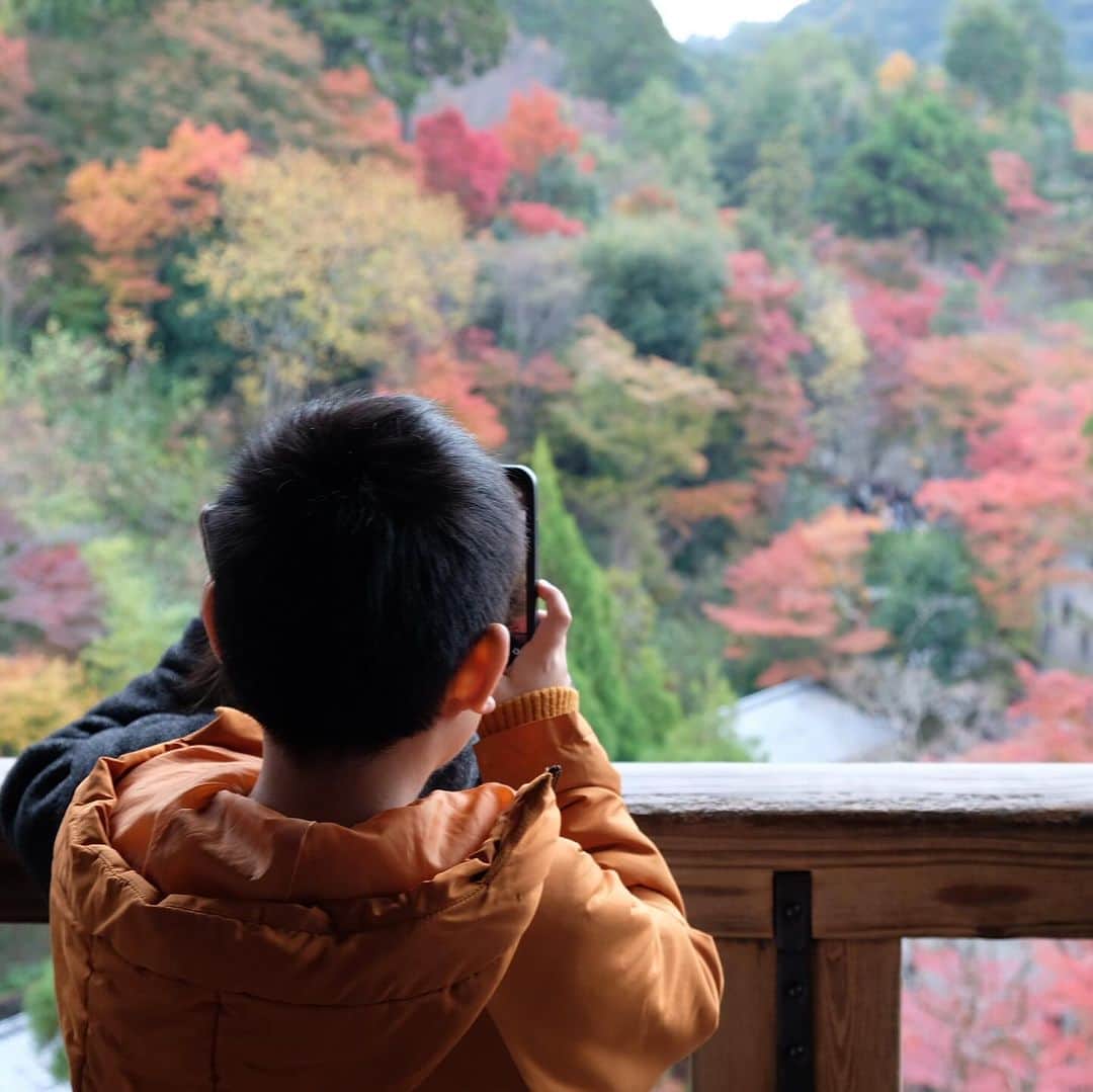 空木マイカさんのインスタグラム写真 - (空木マイカInstagram)「Autumn in Kyoto 2023  #kiyomizudera  #kenninji  #toufukuji  #kyoto  自然の美しさを 庭に取り込むってすごいよね。」11月27日 21時31分 - maika_utsugi