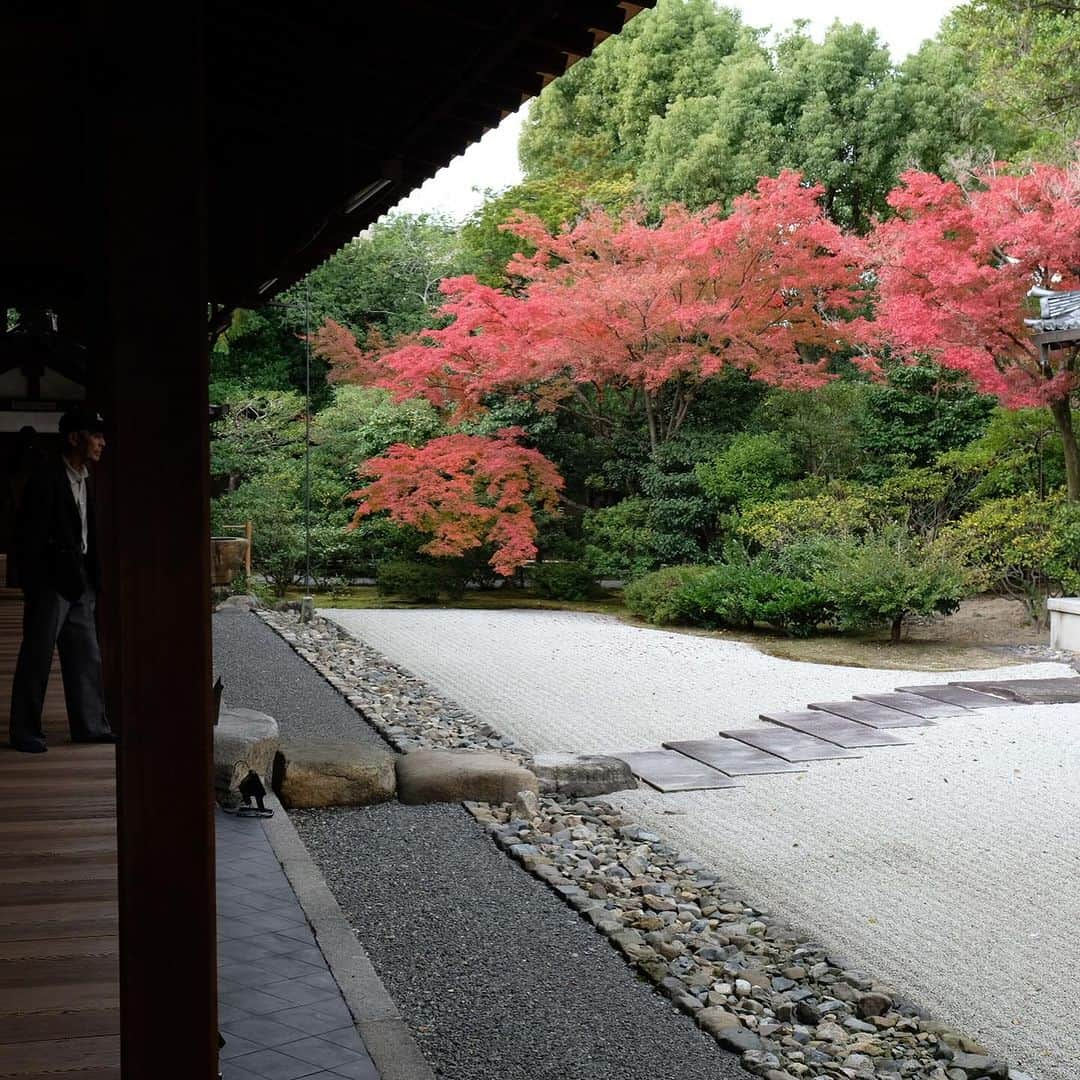 空木マイカさんのインスタグラム写真 - (空木マイカInstagram)「Autumn in Kyoto 2023  #kiyomizudera  #kenninji  #toufukuji  #kyoto  自然の美しさを 庭に取り込むってすごいよね。」11月27日 21時31分 - maika_utsugi