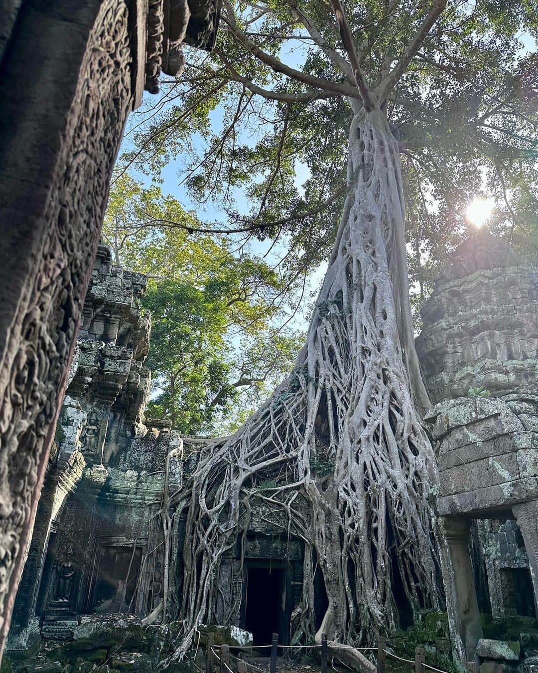 瀬田さくらさんのインスタグラム写真 - (瀬田さくらInstagram)「#🇰🇭  #AngkorWat  こんなに素敵な場所で日の出を見れるなんて... 神秘的な遺跡と澄んだ空気に癒されました💭  #カンボジア #カンボジア旅行 #Cambodia #cambodiatravel  #絶景 #絶景スポット #海外旅行 #アンコールワット   #瀬田さくら #ばってん少女隊 #九州 #福岡  .」11月27日 21時42分 - seta_sakura_official