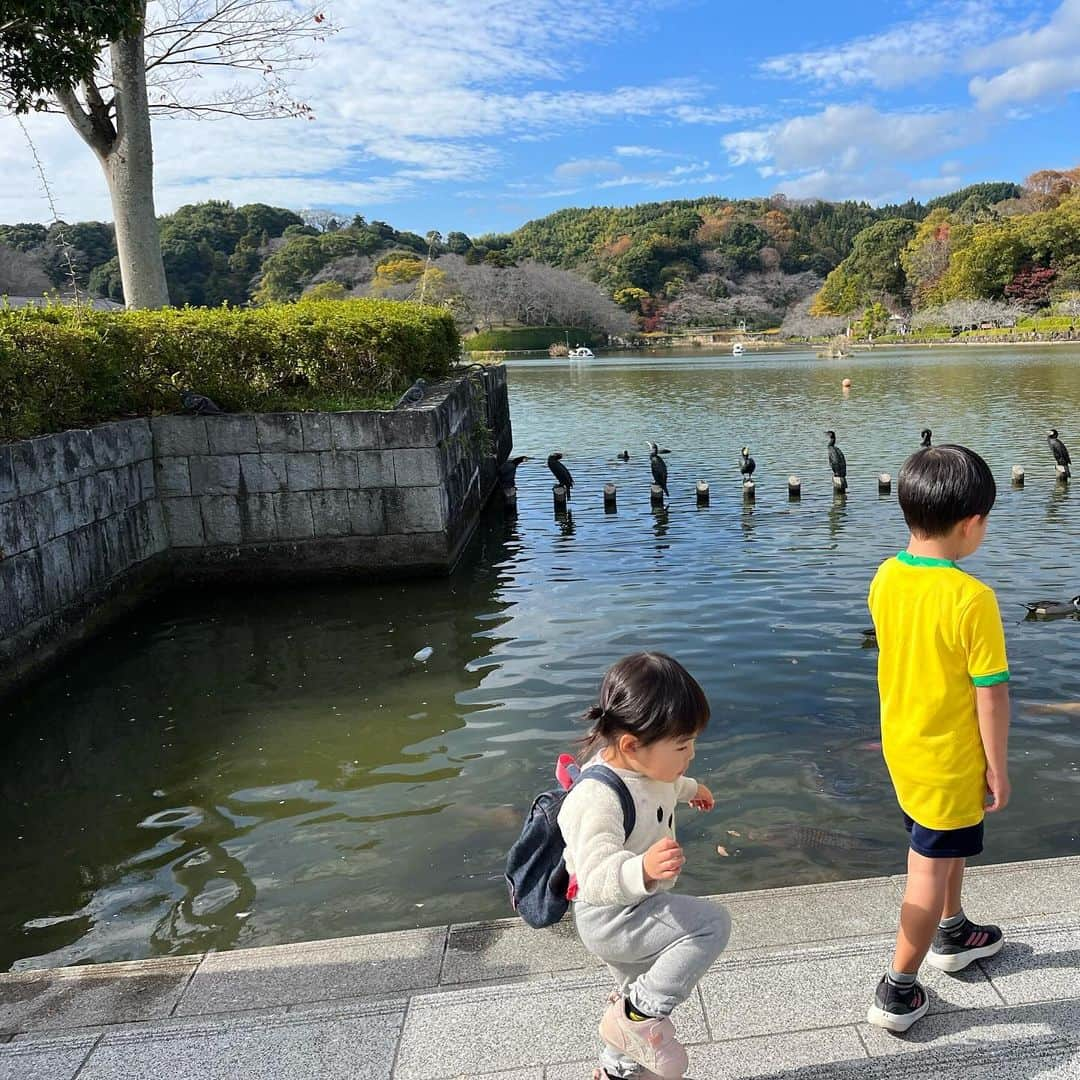 重長智子さんのインスタグラム写真 - (重長智子Instagram)「. . 久しぶりの蓮華寺池公園で 足こぎボートに乗りました🐼パンダ号です。 . 乗車人数は大人1人、子ども3人。 息子のお友達も一緒でした。 . 子どもたちはハンドル操作、漕ぐのは私😂 おかげで30分いい運動になりました笑 . 子どもたちといろんな会話ができて 楽しかったのでよし☺️ . 皆さんもぜひ♡ . . #静岡県 #藤枝市 #蓮華寺池公園 #遊び場 #ロング滑り台もあるよ #紅葉も少し発見 #イルミネーションは今度 #小1男子 #3歳女子」11月27日 21時42分 - tomoko_shigenaga