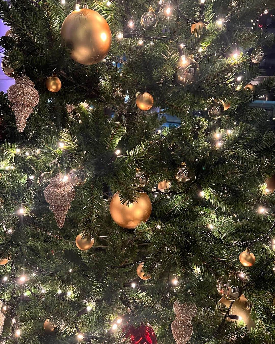 葉月祥子のインスタグラム：「そんな気持ちで📸🌟🎅🏻🎄✨ ⁡ ⁡ ⁡ ⁡ 今日は所属事務所 のスペースクラフト @spacecraftmodel に行ってきました♪ ⁡ ⁡ 大好きなマネージャーさん達と色々話せて嬉しかったぁ🌟 ⁡ ⁡ ⁡ いつも親身になって話を聞いてくれるのが嬉しくて、 ついついしゃべりすぎて変な姿ばかり見せてしまうけど😹 ⁡ (あれ？私また同じ話してなかった？🤔)て帰り道に思うけど笑、でもそのくらい事務所の皆さんが大好き😊 ⁡ ⁡ 自分のことを思ってくれる誰かと話すのは、 心に光が灯るような、そんな感覚になりますよね🫶🏻😊 ⁡ ⁡ ⁡ 愛する祖父と祖母と愛犬が天国に旅立ってしまってからひきこもりがちだった私の心ですが😎🫠🌟 ⁡ 少しずつまた愛と勇気を思い出せるようになってきました🫶🏻✨ ⁡  支えてくださる方々に感謝です👏🏻🥲 ⁡ ⁡ 大人になっても、明るさと陽気さの輝きはずっと大切にすべきものなんだなぁ って、美しいクリスマスツリーを観ながらふとそう思ったのでした🎄🎁🎅🏻 ⁡ ⁡ そんな気持ちで撮った写真📸😊🎄🙃💕  ⁡ ⁡ #もうすぐ12月 #クリスマスツリー」