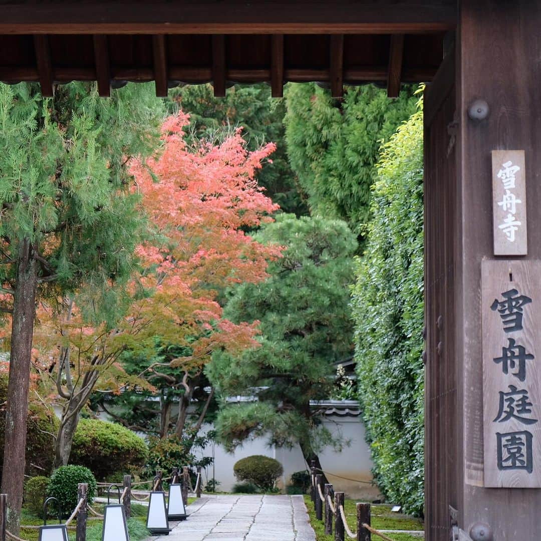 空木マイカさんのインスタグラム写真 - (空木マイカInstagram)「Autumn in Kyoto 2023  #sesshugarden #雪舟寺  2000本という圧倒的な紅葉の美しさの 東福寺からの帰り道に ふと心惹かれて入った雪舟寺がすごくよかった。  水墨画で有名な雪舟がつくったという庭。 お抹茶を頼んだら、持ってきてくれたお寺の方が この日会ったどの人よりも丁寧でやさしかった。 人が多い観光地京都から、 静かな落ち着いた京都にたどりついた。」11月27日 21時49分 - maika_utsugi