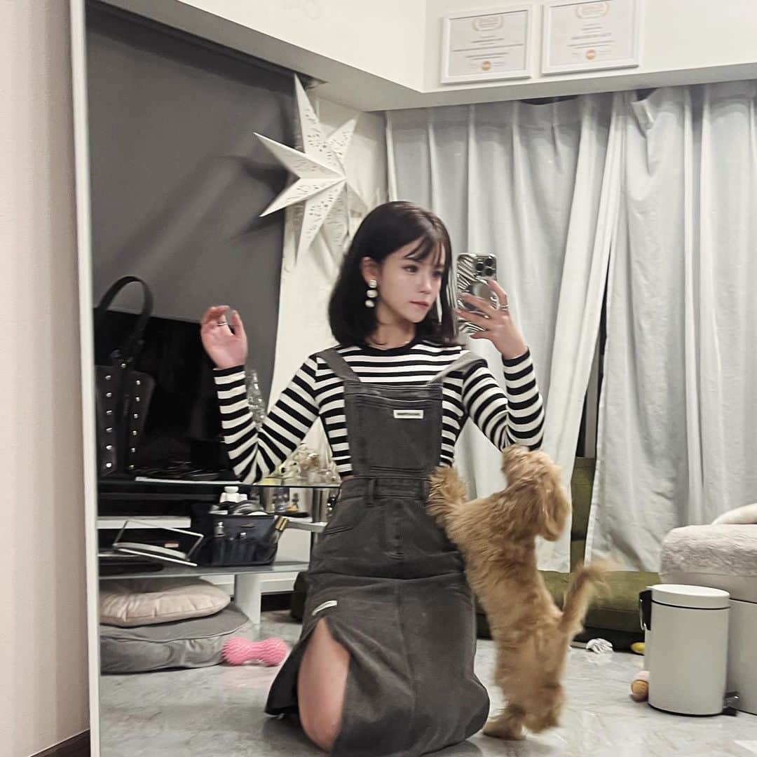 村山優香のインスタグラム：「ﾌﾞﾚﾌﾞﾚ もーちゃんのオモチャだらけ」