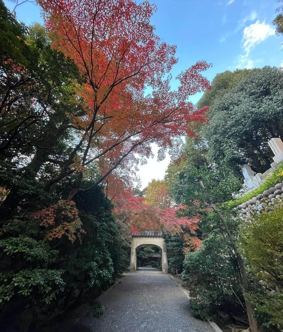 村上てつやさんのインスタグラム写真 - (村上てつやInstagram)「名古屋・京都公演終了♪♪♪♪♪  週末の寒さを吹っ飛ばしてしまうかのような客席のみなさんからの熱い声援💪  しびれた〜😎  ありがとうございました🙇‍♂️  名古屋と京都は写真がたくさんあるので投稿二回に分けますね  まず今日は名古屋編  今回のツアー、元気な時は銅像巡りを敢行しておりますが名古屋周辺にはあまり会ってみたい銅像さまはありませんでした  ならば……  大仏じゃ  織田信長の父、織田信秀の菩提寺という古刹桃巌寺には奇想天外な緑色巨大大仏が！  生で見るとカッコいいのよ、これ！  ずっとただただ見つめているうちに危うくお祈りを忘れてしまいそうでした🤔  いやーあまり下調べもせず、この大仏に会いたい一心で向かったこのお寺ですが実に凄い場所でした😅  本堂には日本一の大きさという木魚！  なんとその木魚に触れば過去の過ちが全て消えてなくなるという……  マジ？  触る触る触る俺は触る触るよ木魚🥹🥹🥹  他にも祝詞を唱えながら懺悔する場所や、ここに書けない秘宝などもあり期せずしてスリリングな体験となりました  俺は圧倒されたよ桃巌寺に🥹🥹🥹  ………  はい  最後のピンぼけ写真は昨年の中津川プチ旅行の際に入手出来なかった栗きんとん🌰  お参りの帰り道、名古屋市内のデパートで無事ゲット🙆‍♂️  美味しく頂きました☆  押忍🥋  #ゴスペラーズ坂ツアー2023 #ヒアナウ  #桃巌寺  #名古屋大仏 #日本一の木魚 #懺悔 #秘宝  #栗きんとん #すや」11月27日 22時00分 - iamtetsuyamurakami