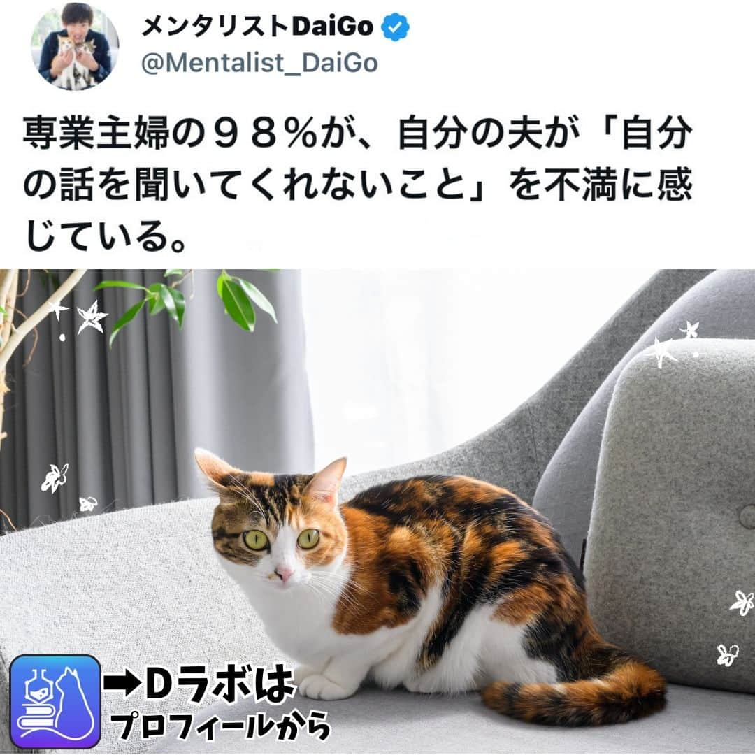 メンタリストDaiGoのインスタグラム：「🐈本日の名言📚 プロフィールからDラボもみてね  #心理学 #メンタリスト #dラボ  #dラボはプロフィールから」