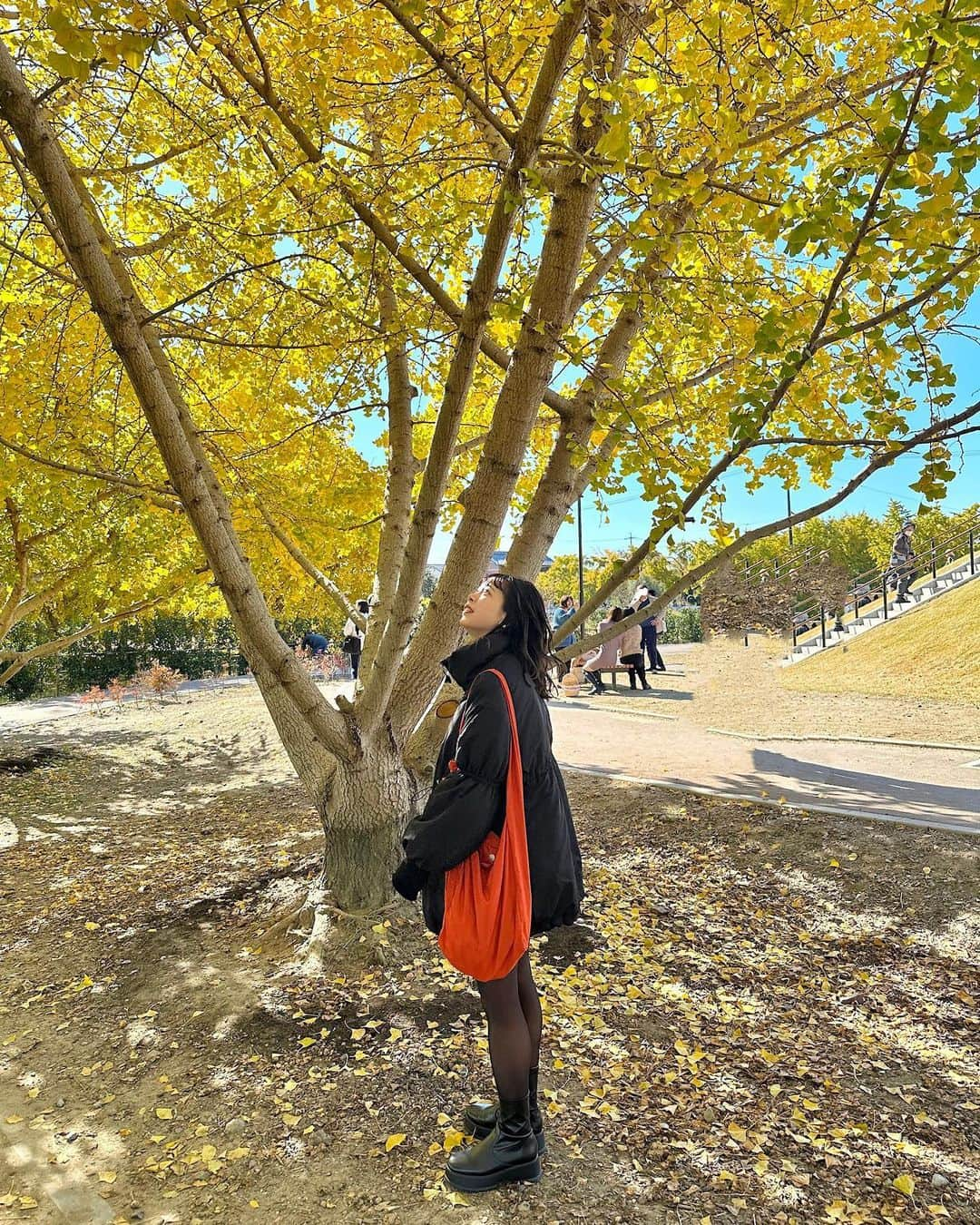 katomari. カトマリのインスタグラム：「行ってみたかった祖父江のイチョウ見に💛 雲ひとつない秋晴れで、真っ青な空に 映える黄色のイチョウが綺麗すぎた、、  そして歌志軒のワゴンあって 油そば食べれたのがサイコーでした🍜 旦那さんには顔載せるなと言われたので 口まで出演。笑  アウター買ったので早速着た🥰 昼間も少し風が吹いてたので ちょうどよかった〜 ほんっっとに軽くて暖かくて、 真冬のお出かけのお供にもおすすめです！ おそろいしませんか🥰  🏷 outer @kastane_  knit @whimsic_official  shoes @kastane_  bag oldkastane  #Kastane #Kastane_outer #冬コーデ #冬服コーデ #紅葉スポット  #秋コーデ #秋服コーデ #トレンドコーデ  #ミディアムボブ #ミディアムヘア #ミディアムヘアアレンジ  #紅葉コーデ #高身長コーデ #高身長女子 #骨格ナチュラル  #カスタネ #30代コーデ #アラサーコーデ #イチョウ祭り #祖父江ぎんなんパーク  #アウターコーデ #キルティングコート」