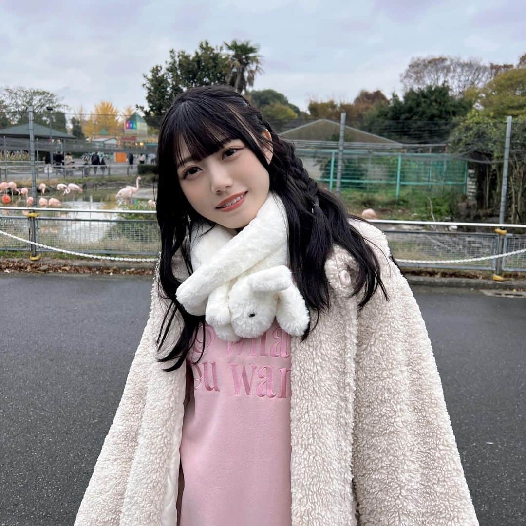 西嶋菜々子さんのインスタグラム写真 - (西嶋菜々子Instagram)「年に2回くらい動物園いきたいです🦁 うさぎのマフラー動物園だからつけた！🐰」11月27日 22時17分 - nanako_nishijima