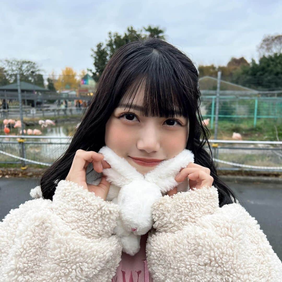 西嶋菜々子さんのインスタグラム写真 - (西嶋菜々子Instagram)「年に2回くらい動物園いきたいです🦁 うさぎのマフラー動物園だからつけた！🐰」11月27日 22時17分 - nanako_nishijima