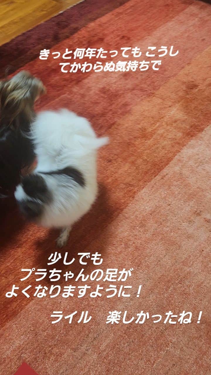武東由美のインスタグラム